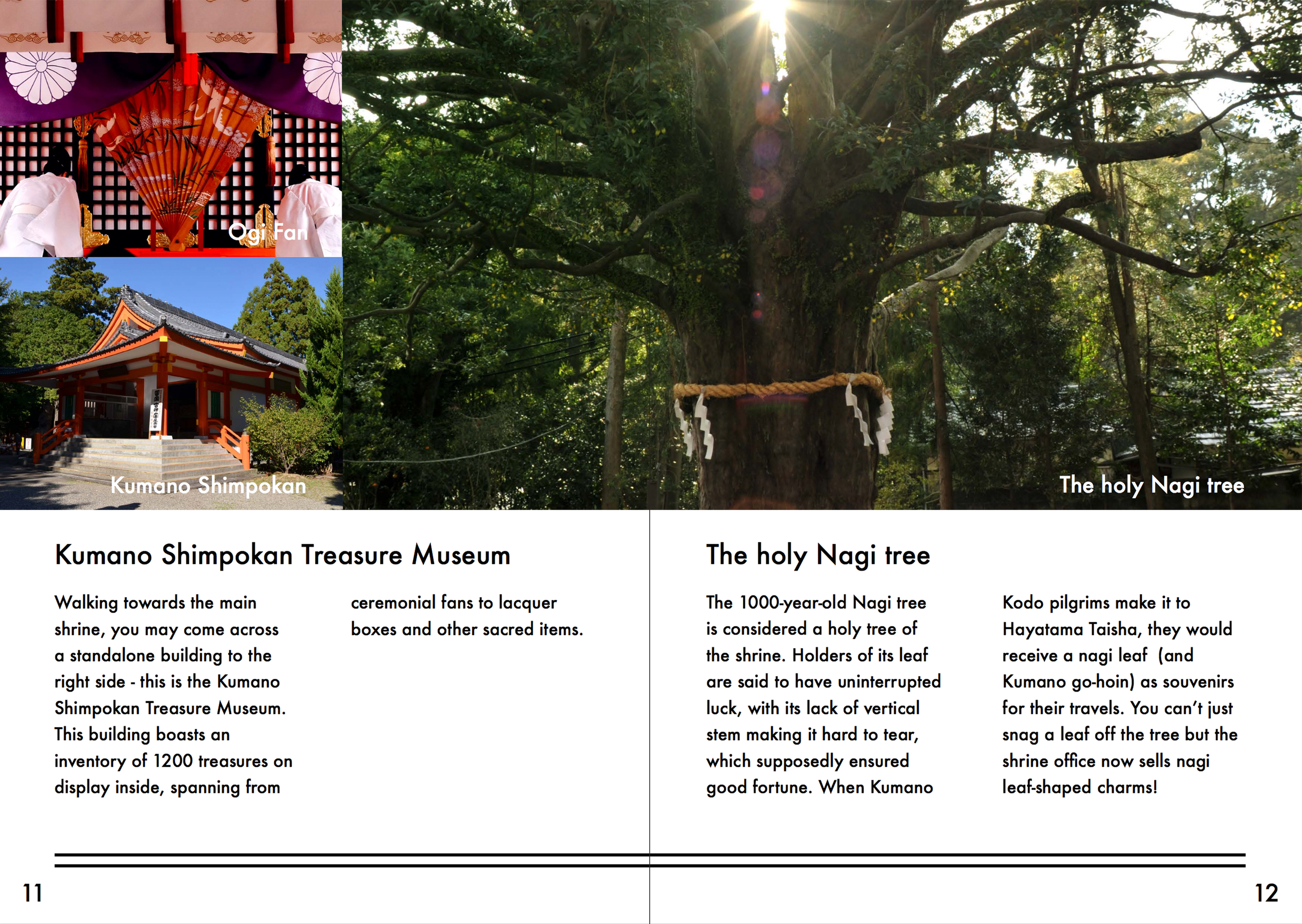 Shingu-Booklet1-7.png