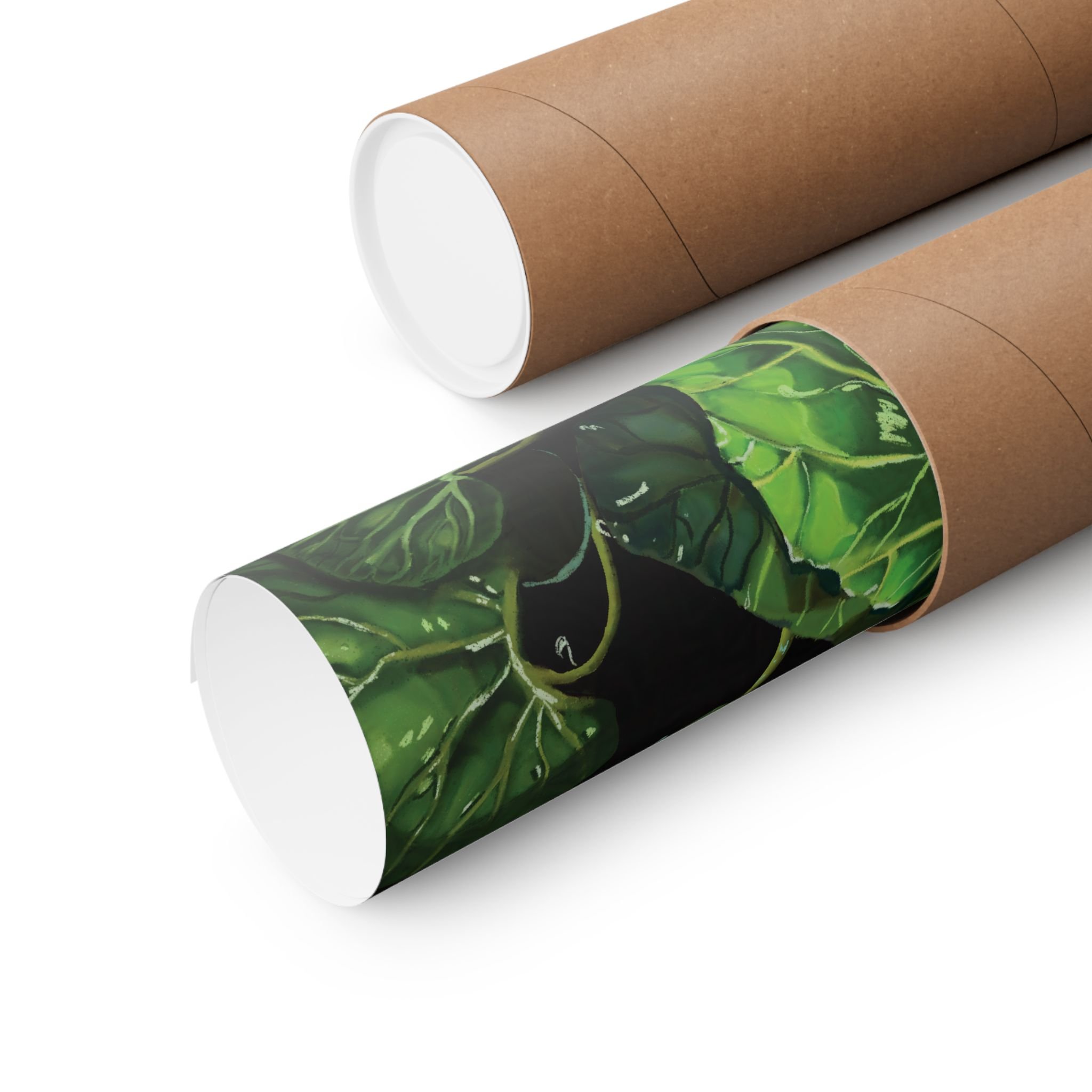 a8b902520e00c5a9f1e94f6f4a8a5228