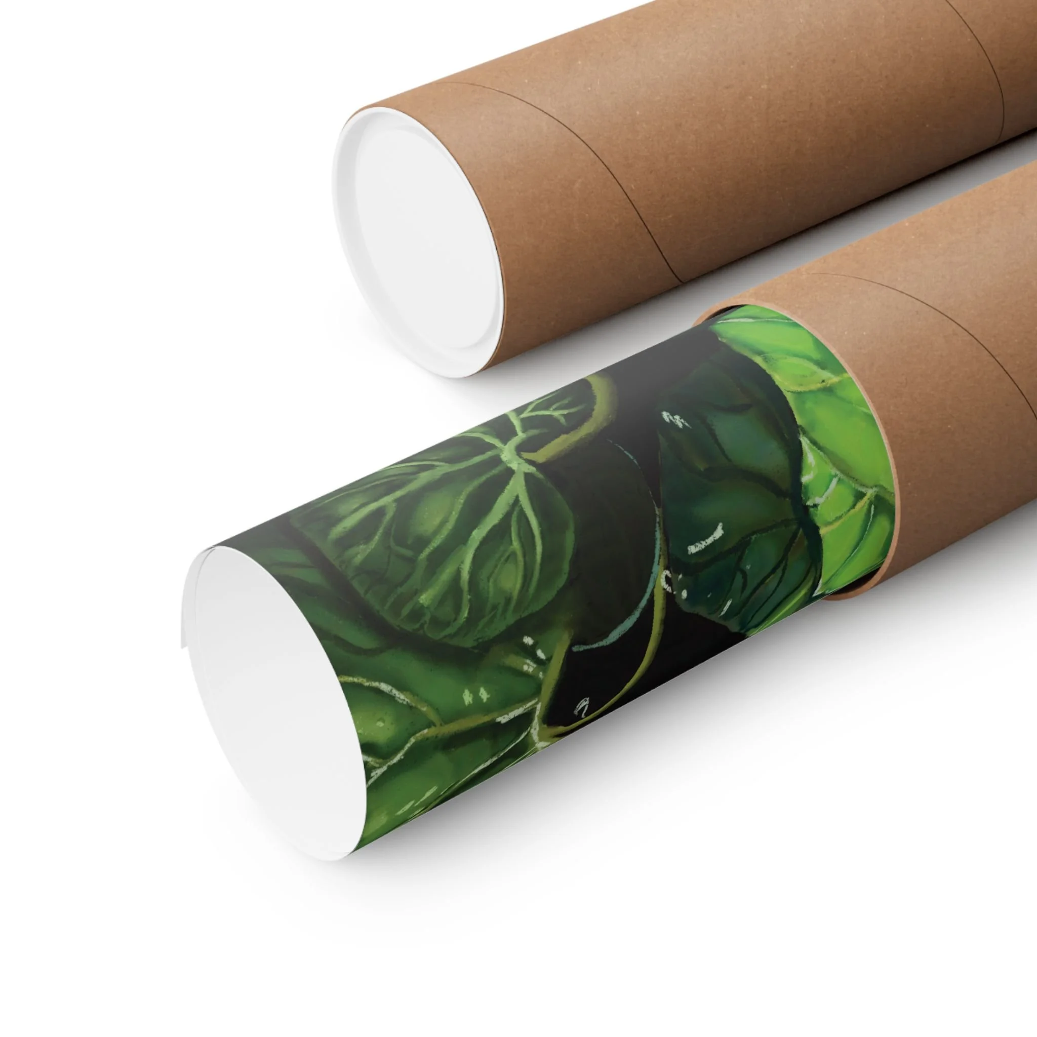 38c762d56a00ef775d920d977efa570a