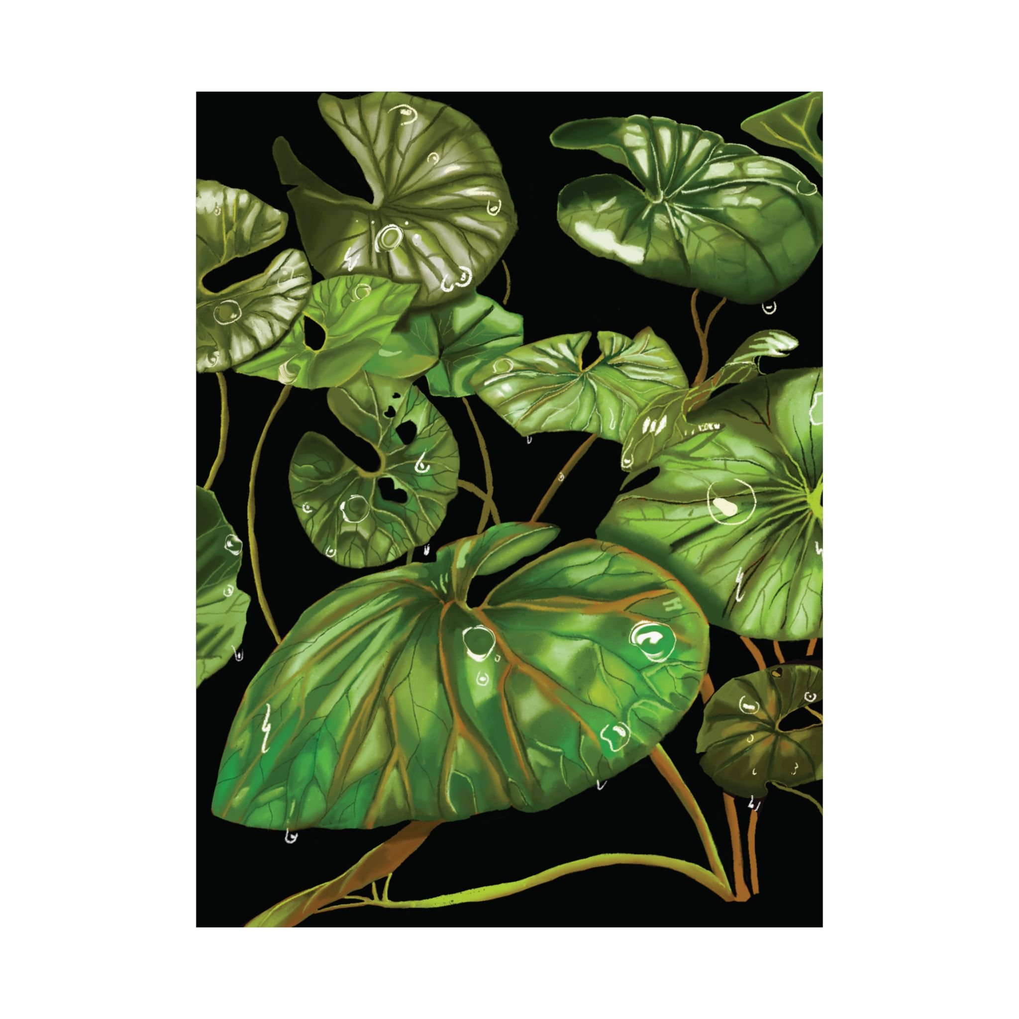 88caaa76e02e419e071ec48e391e50e0