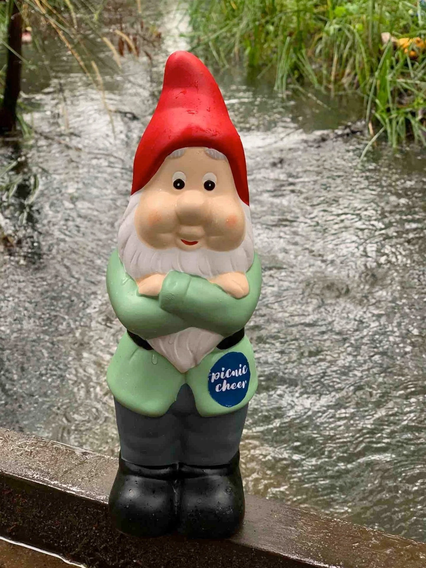 Picnic Gnome_web.jpg