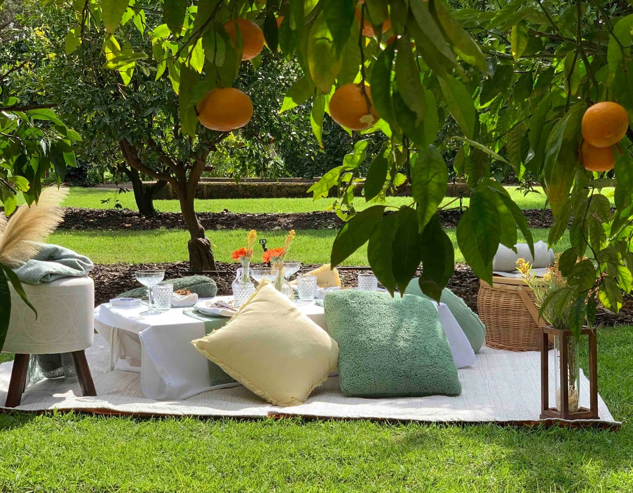 Picnic Cheer Tea Rooms_web.jpg