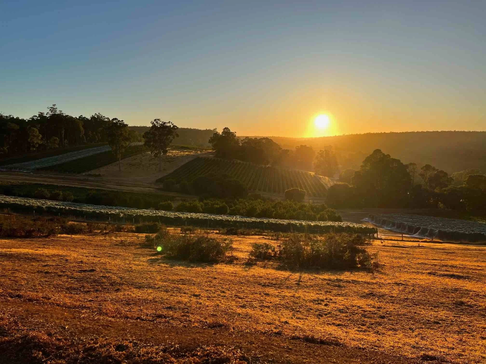 Sunrise in Ferguson Valley_web.jpg