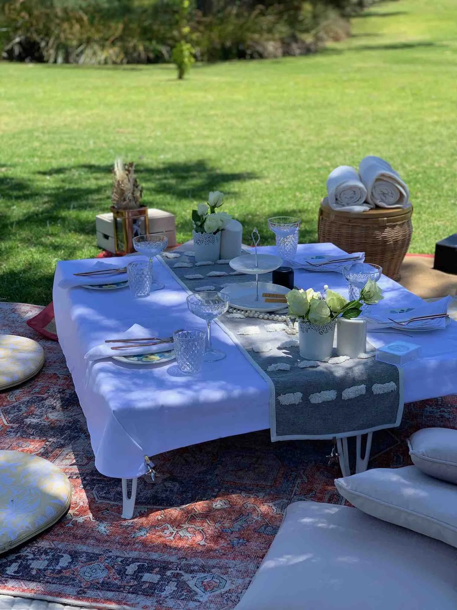 Family Picnic in the park with cake stand