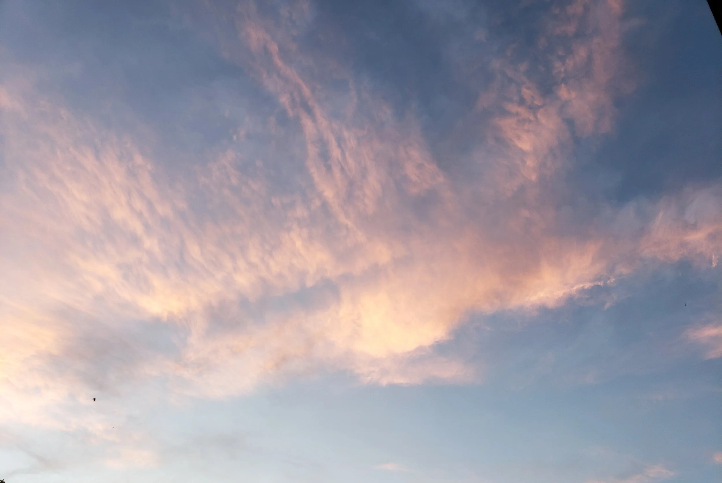 Blog #195 Happy Joyous Miraculous New Year! What is your Personal Year # Vibration for 2026?