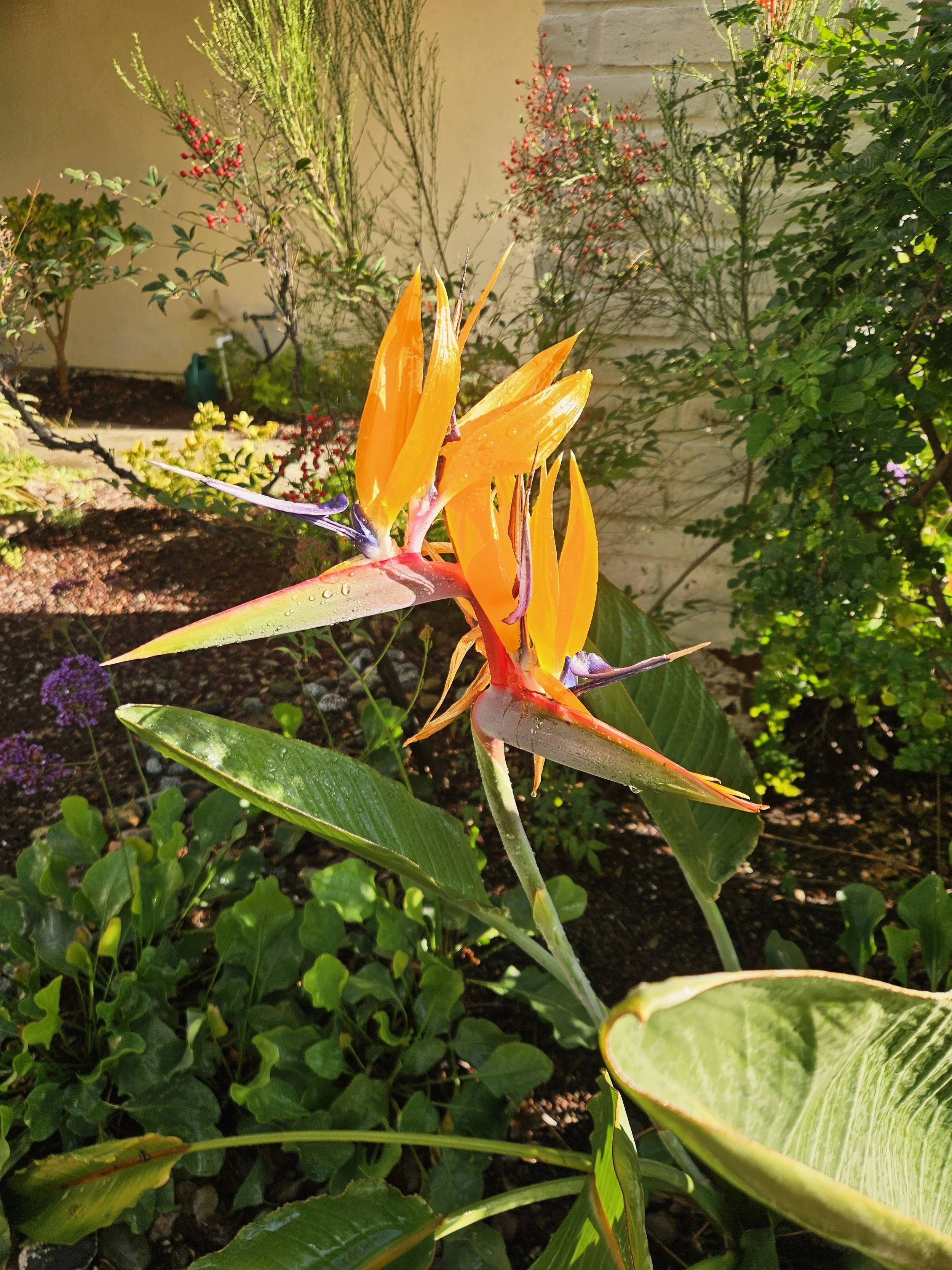 Blog #200 Who’s Guidance Are You Listening to!?