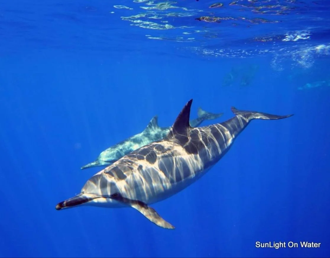 Blog #205 Do You Have Lasting Joy?