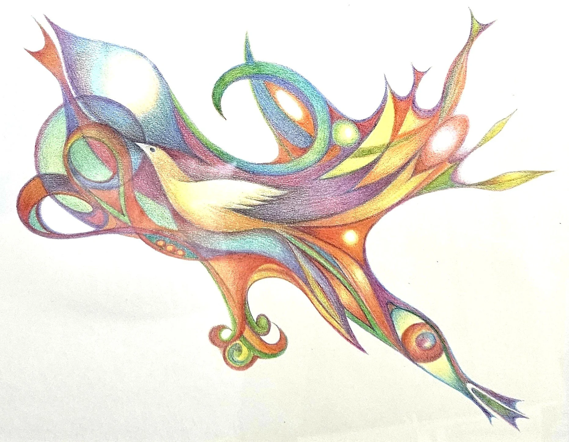 Blog #206 Our Miraculous Imagination