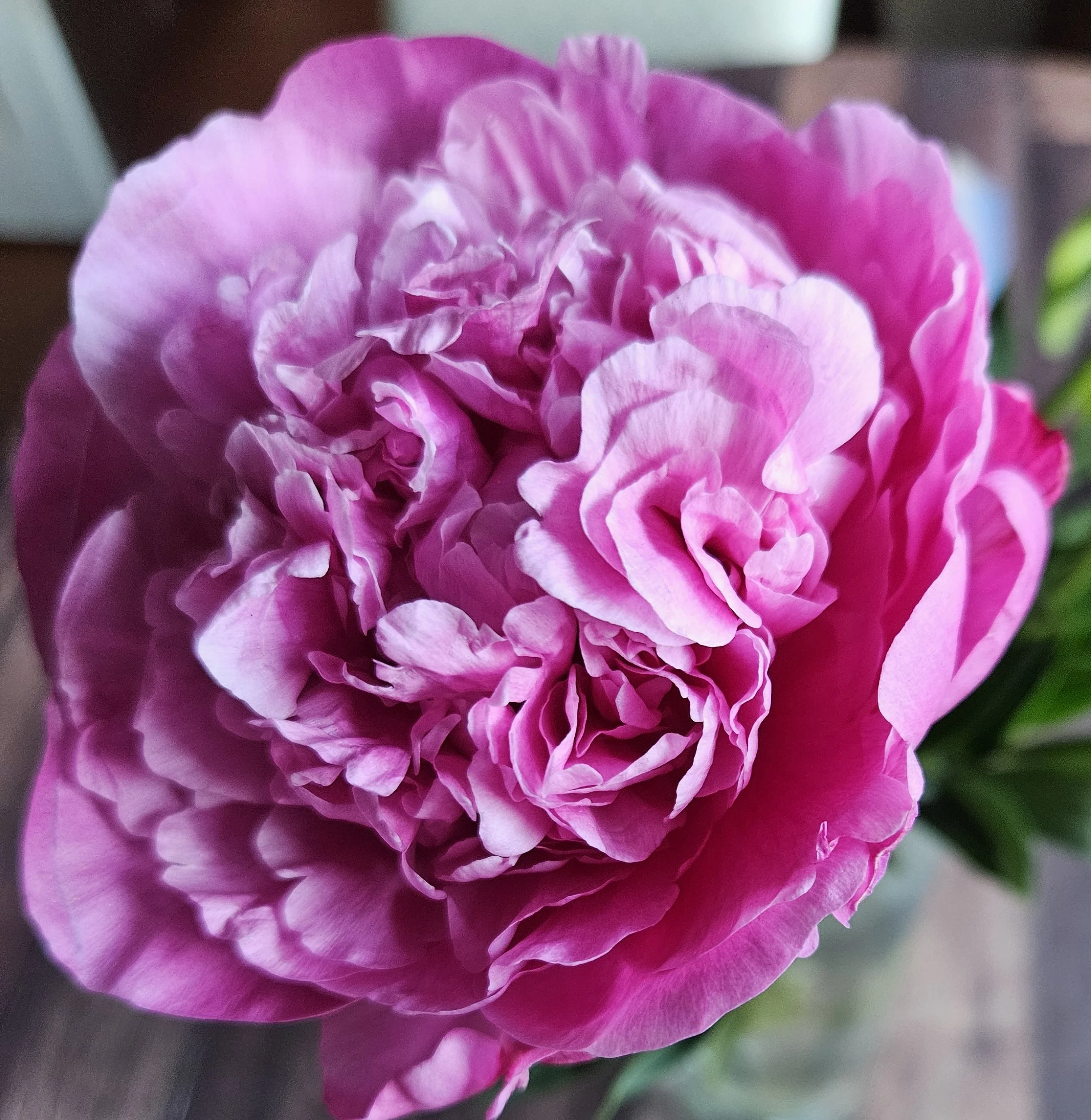 Blog 207 Awaken More to Your Own Vibration!