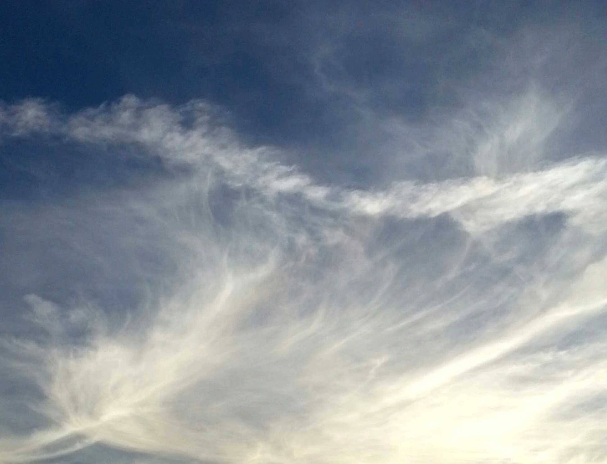 Blog #225 Telepathic Communication is Such a Gift!&nbsp;