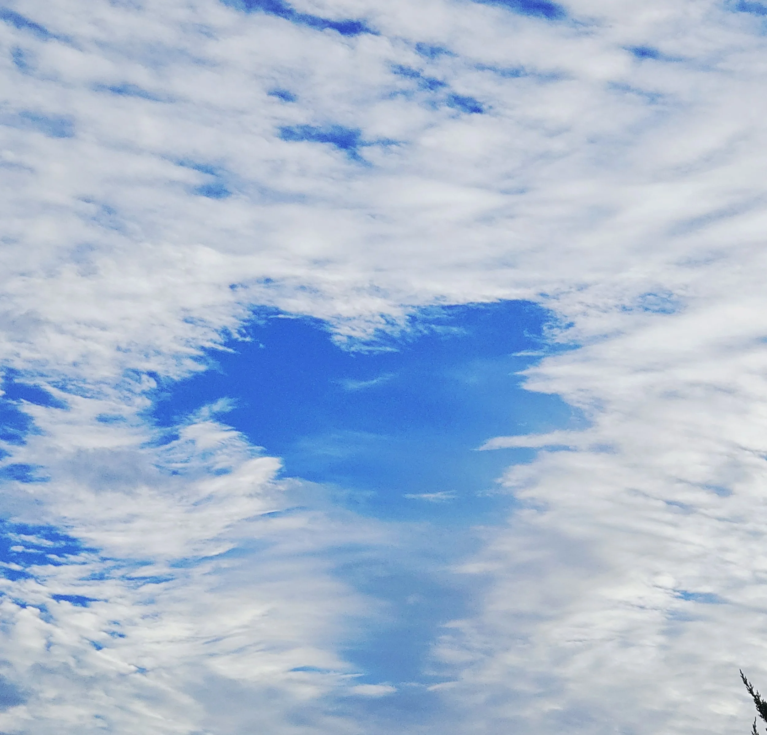 Blog #233 Are You Aligning With Your Divine Nature?&nbsp;&nbsp;