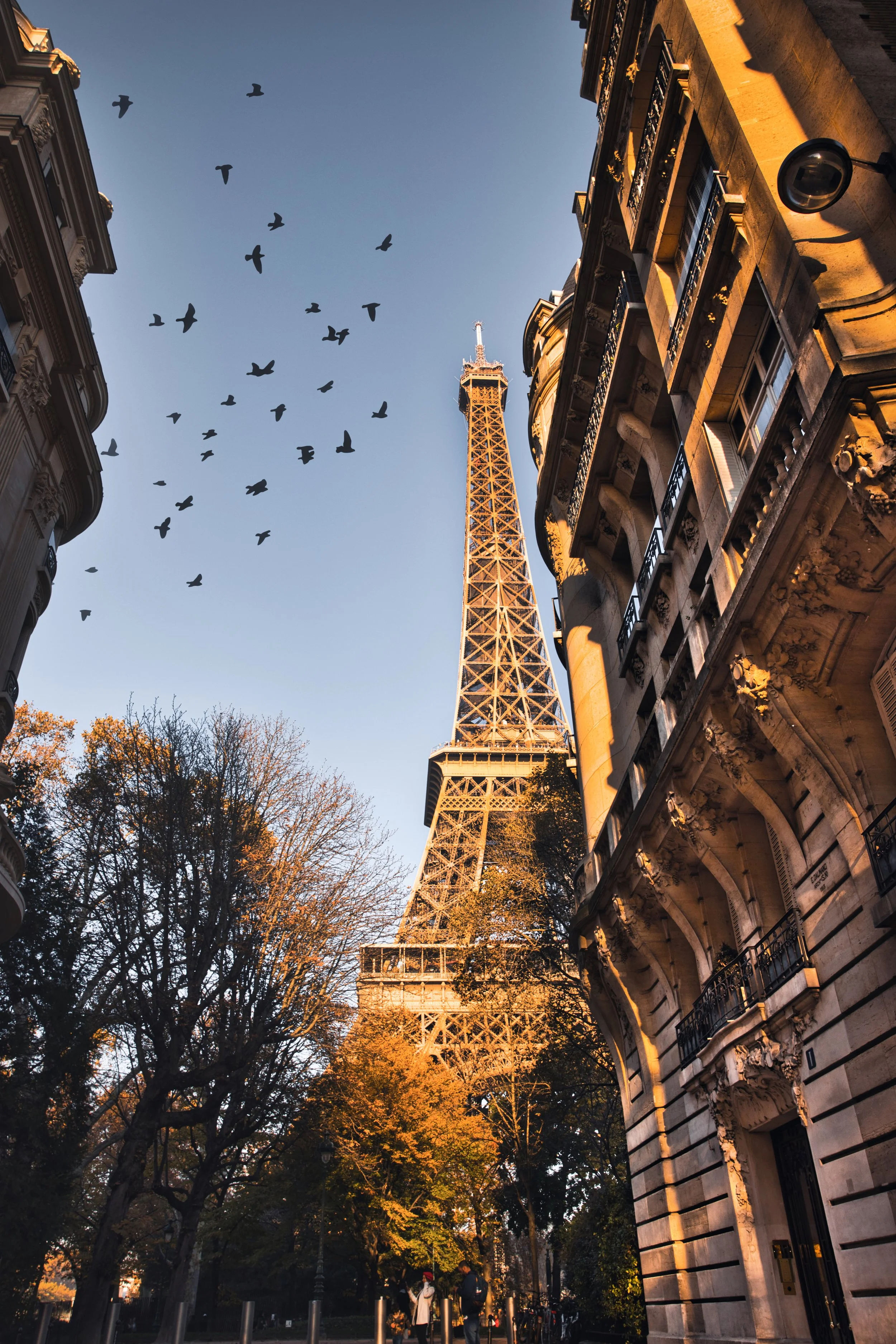 Eiffel Tower Sunset 2 .jpeg