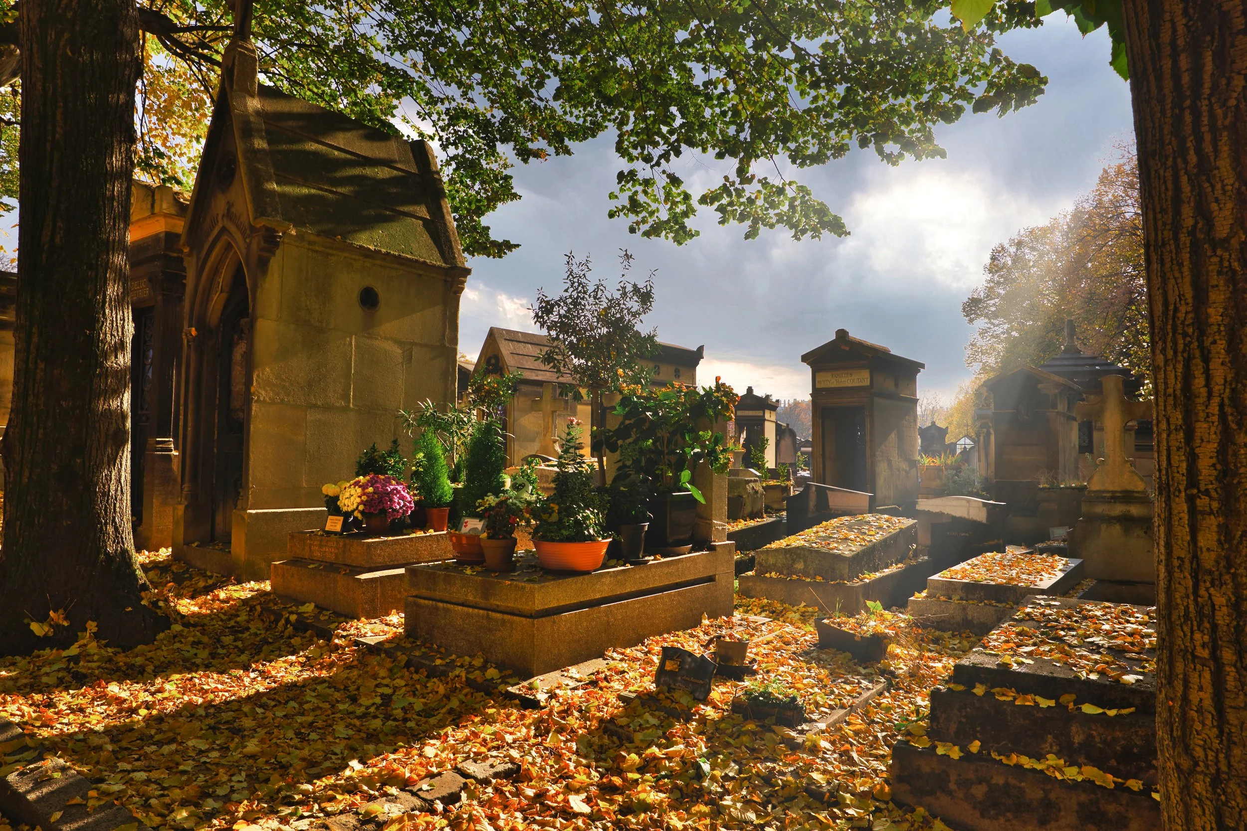 Paris Cemetary 1.jpeg