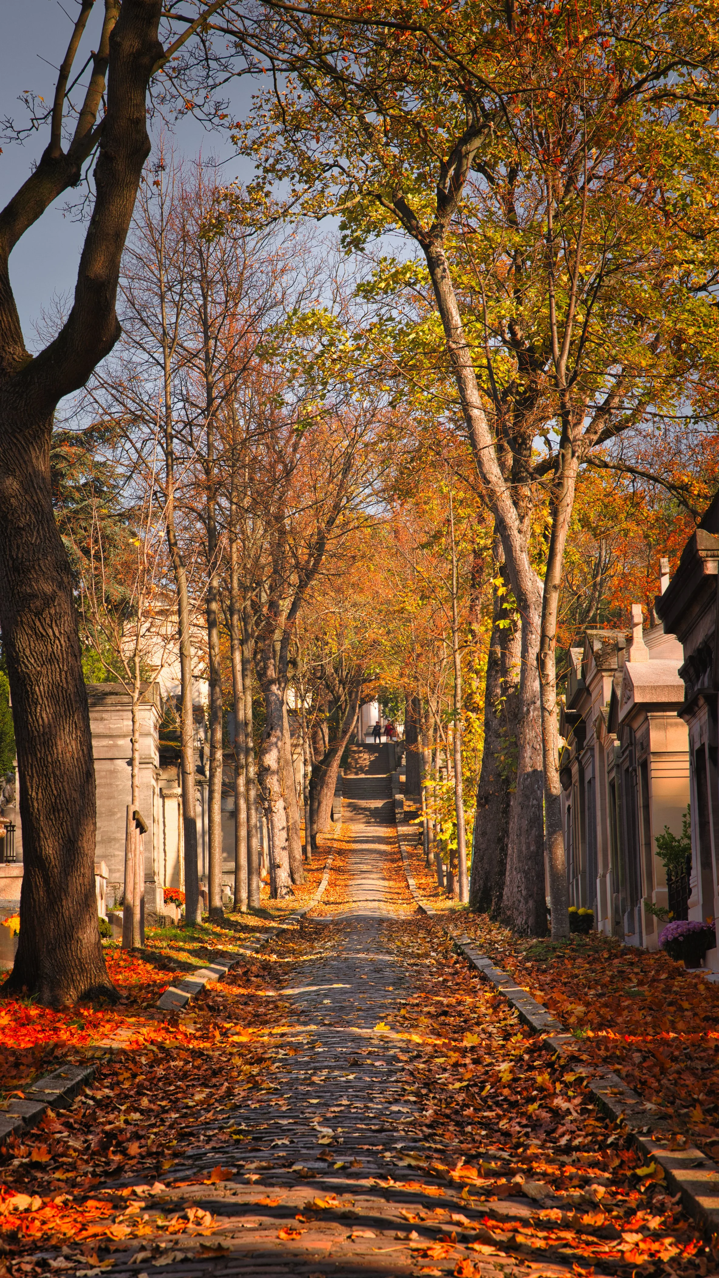 Paris Cemetary Aisle .jpeg