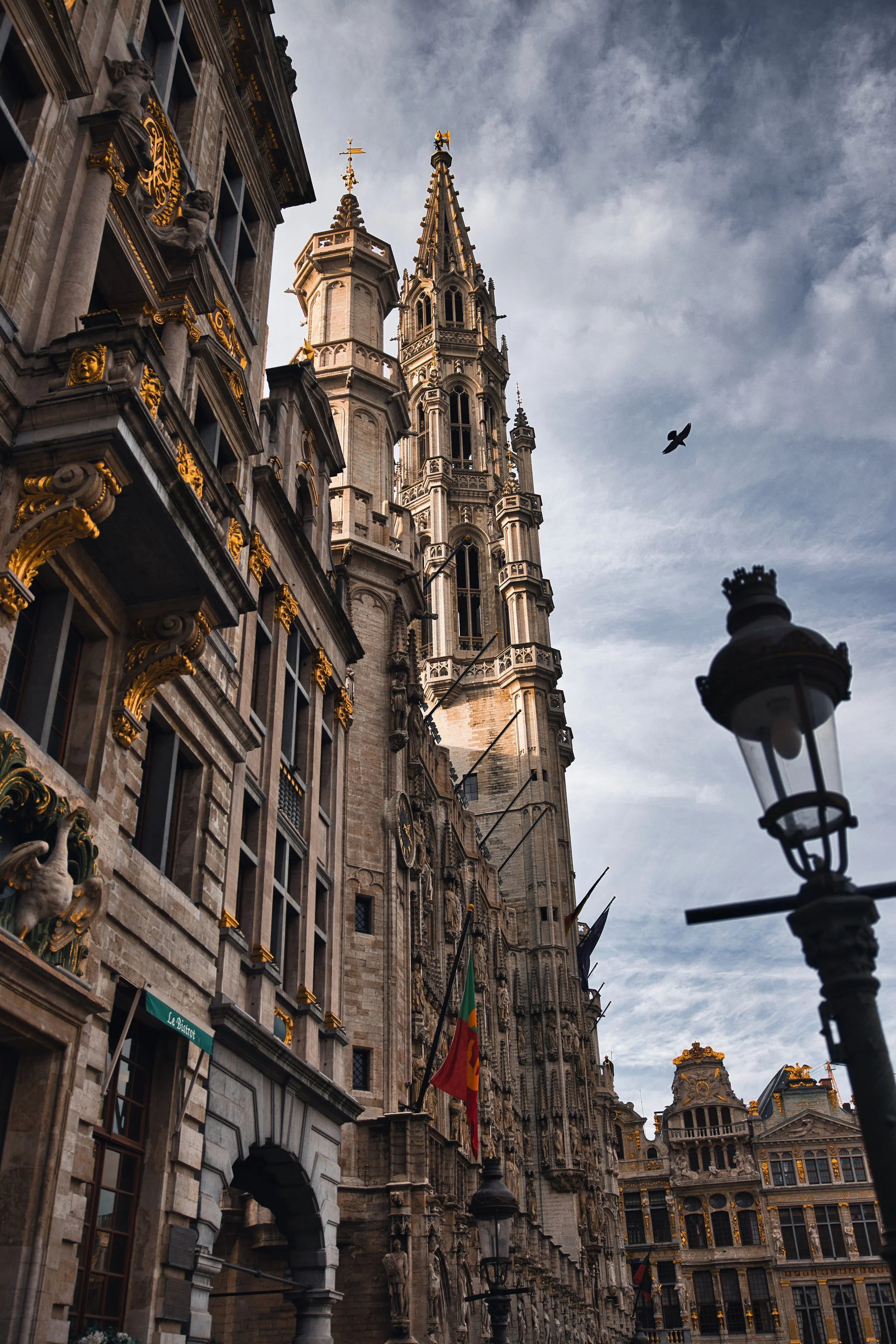 Belgium Grand Place .jpeg