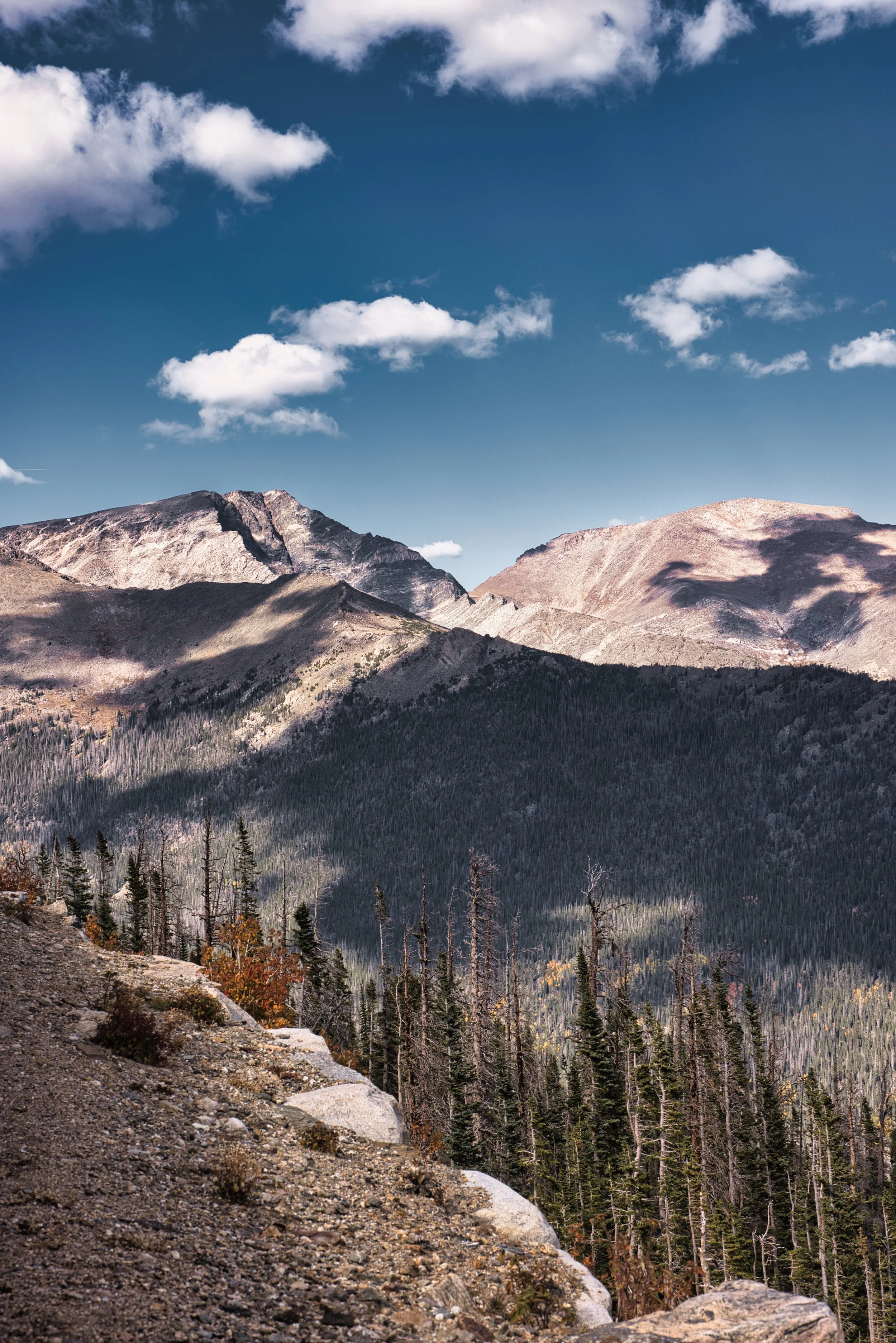 Mountain Range Vertical .jpeg