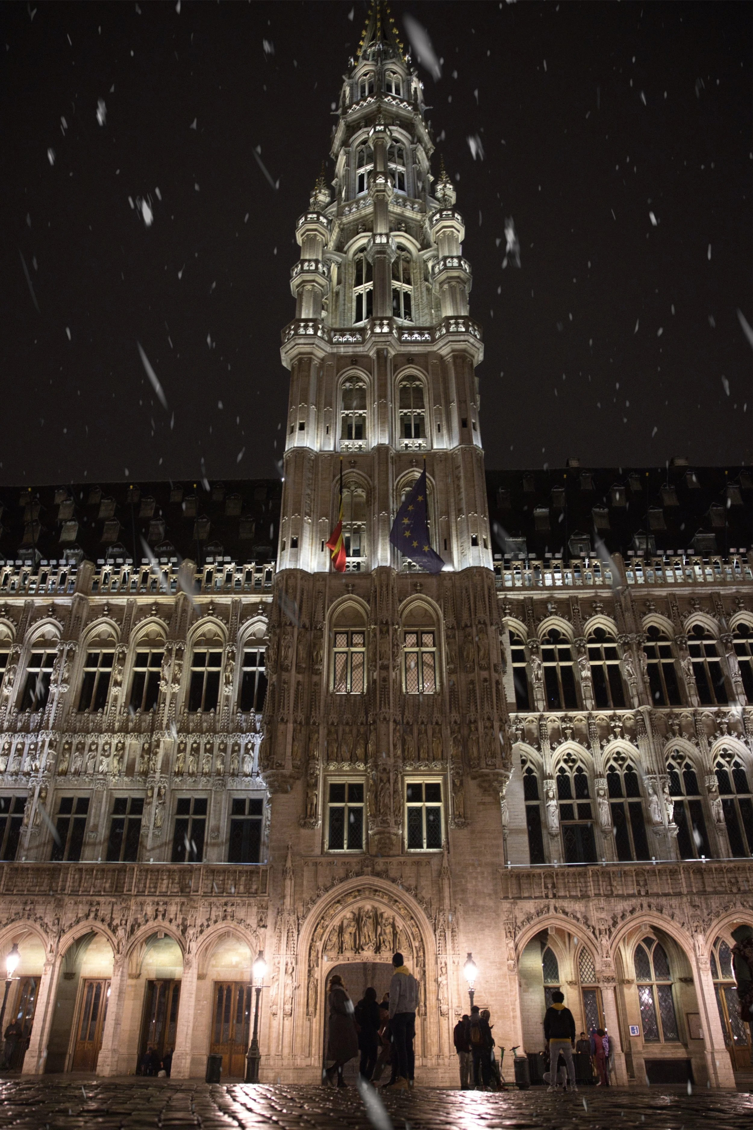 Grand Place Snow 1 .jpeg