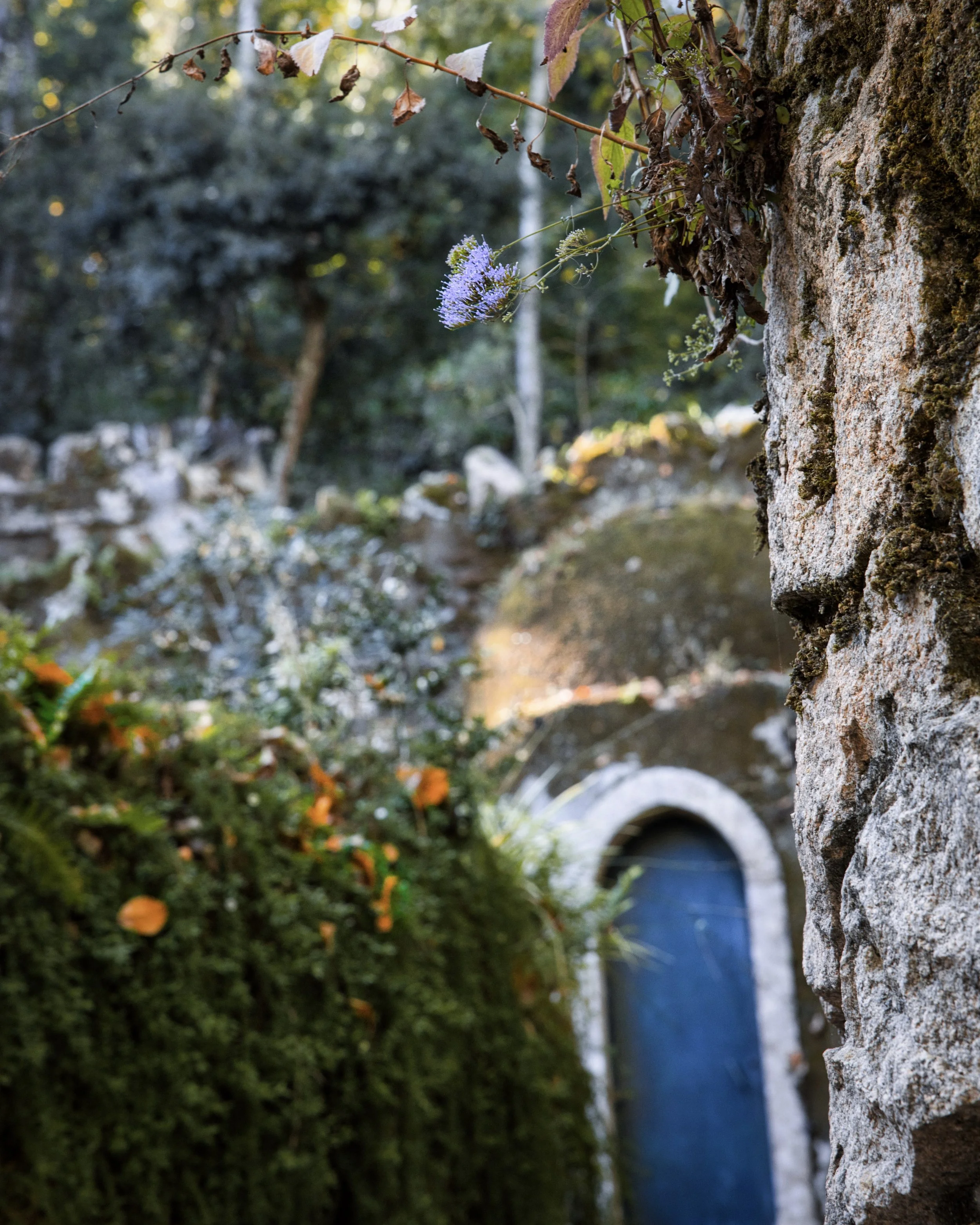 Sintra Blue Door .jpeg