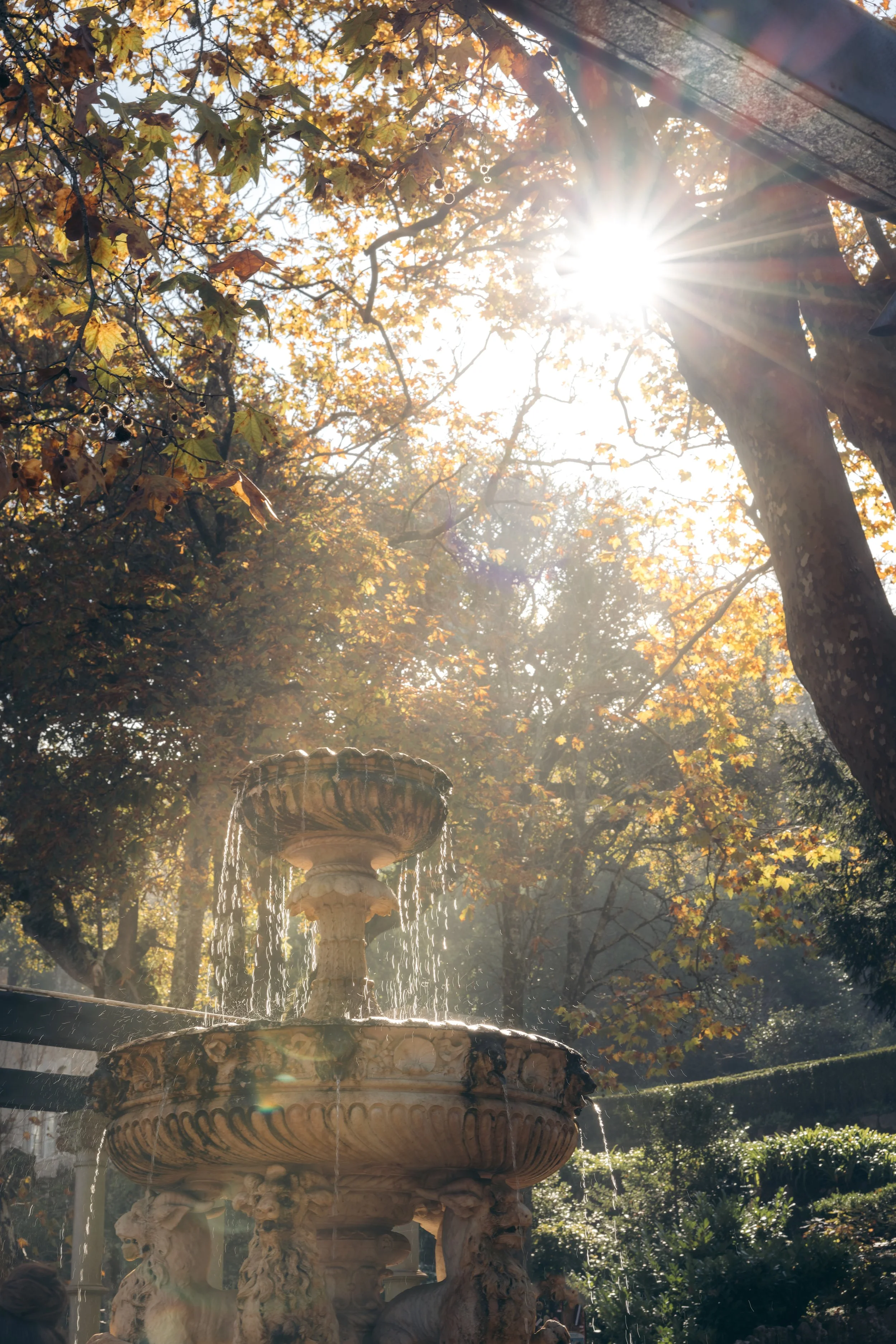 Sintra Sunset (6 of 9).jpg