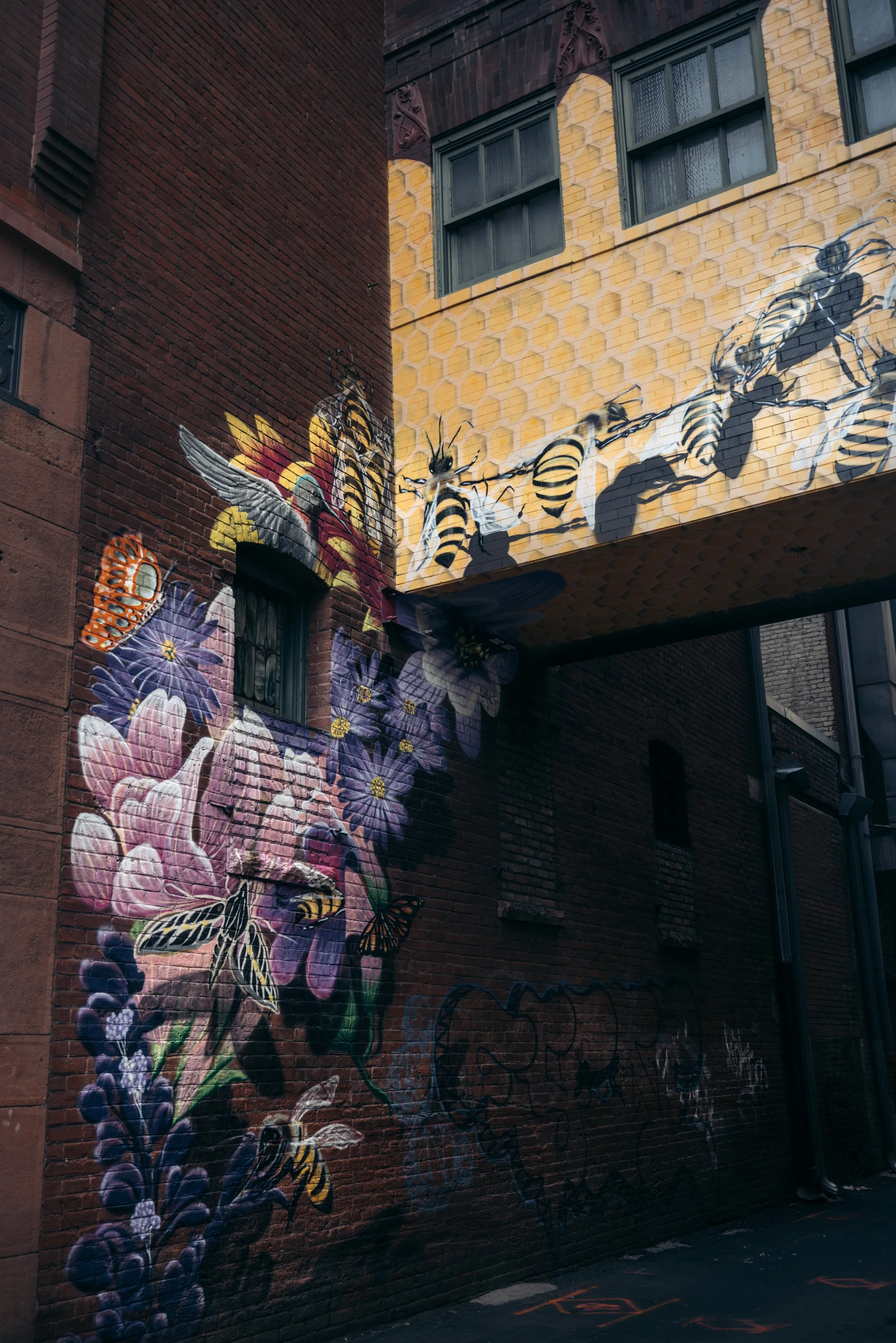 _58A8555.jpg