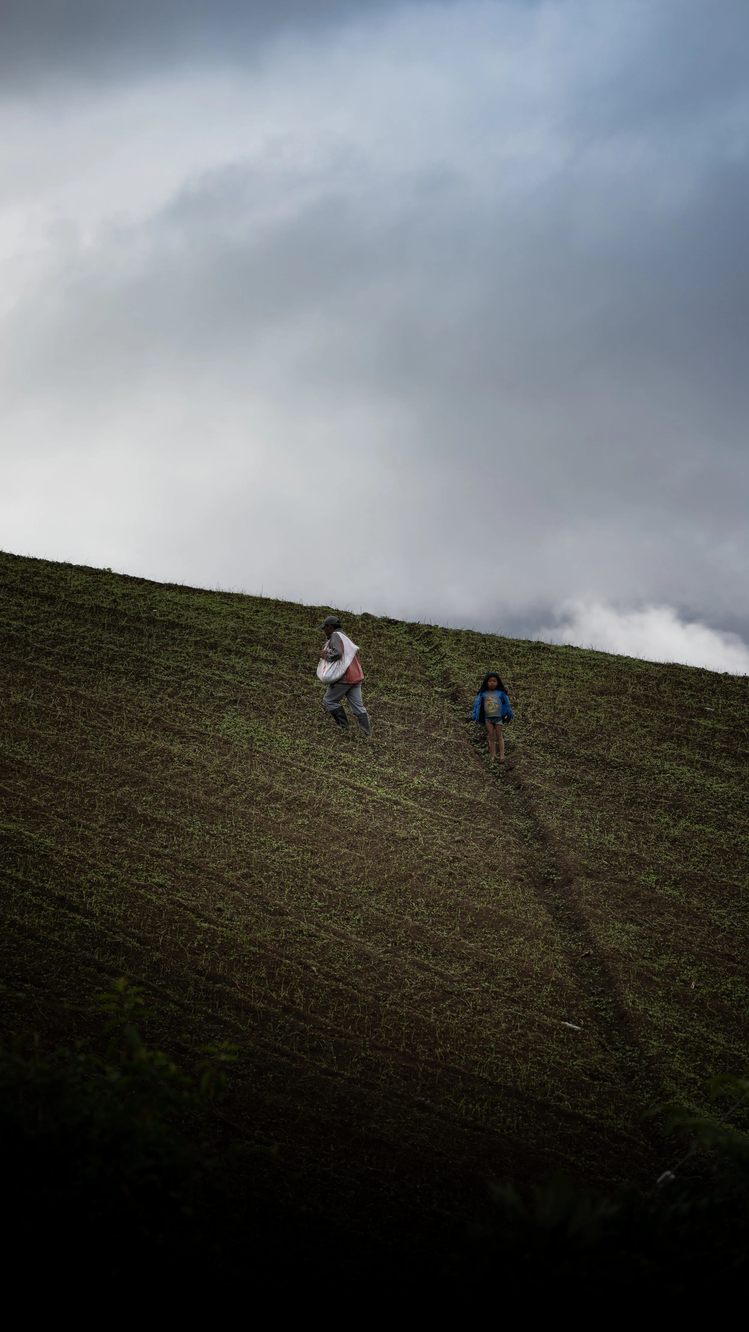 Coffee Farmer and Son.jpg