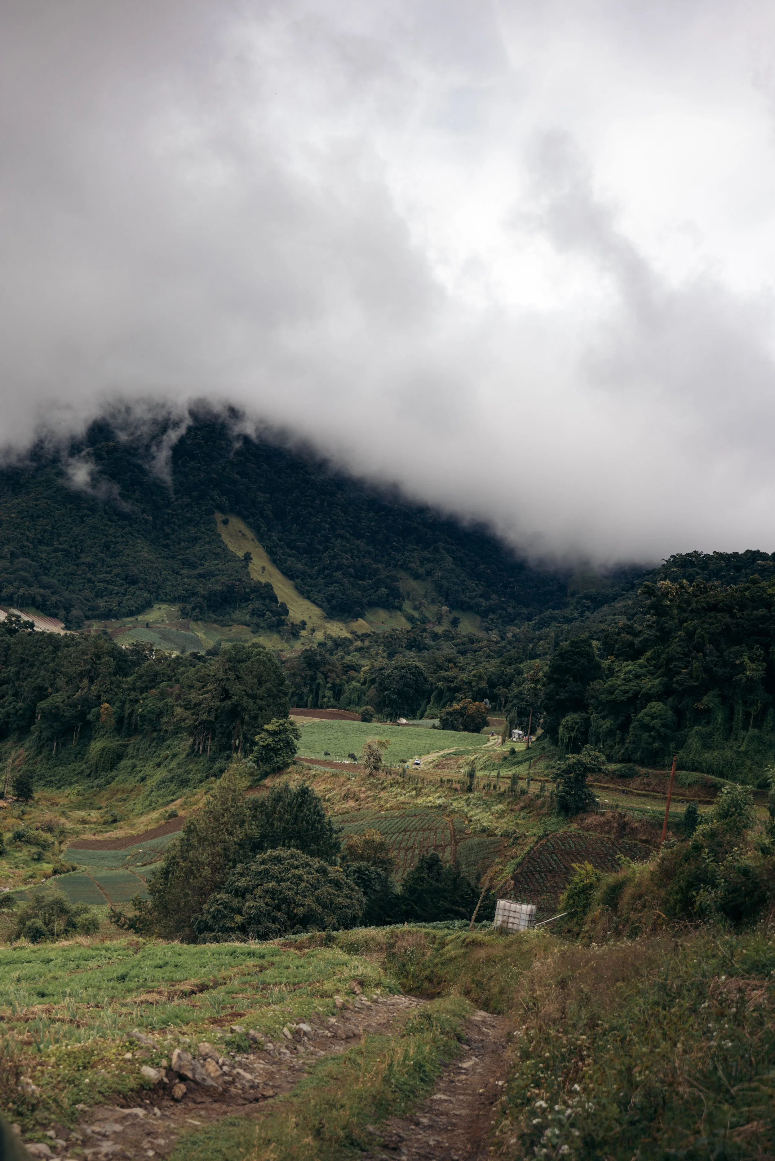 Panama Farmlands.jpg