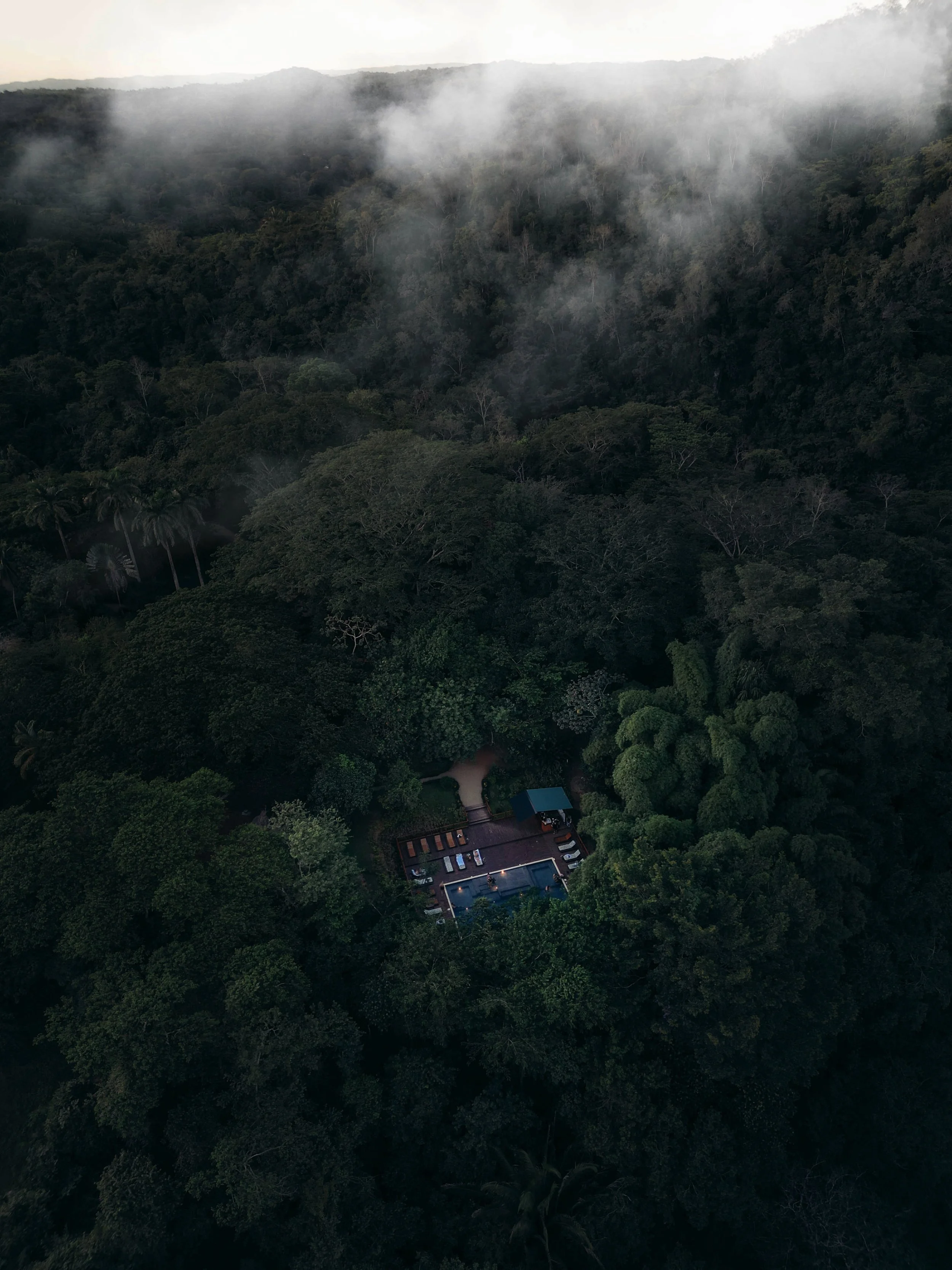 Jungle river 3-4.jpeg