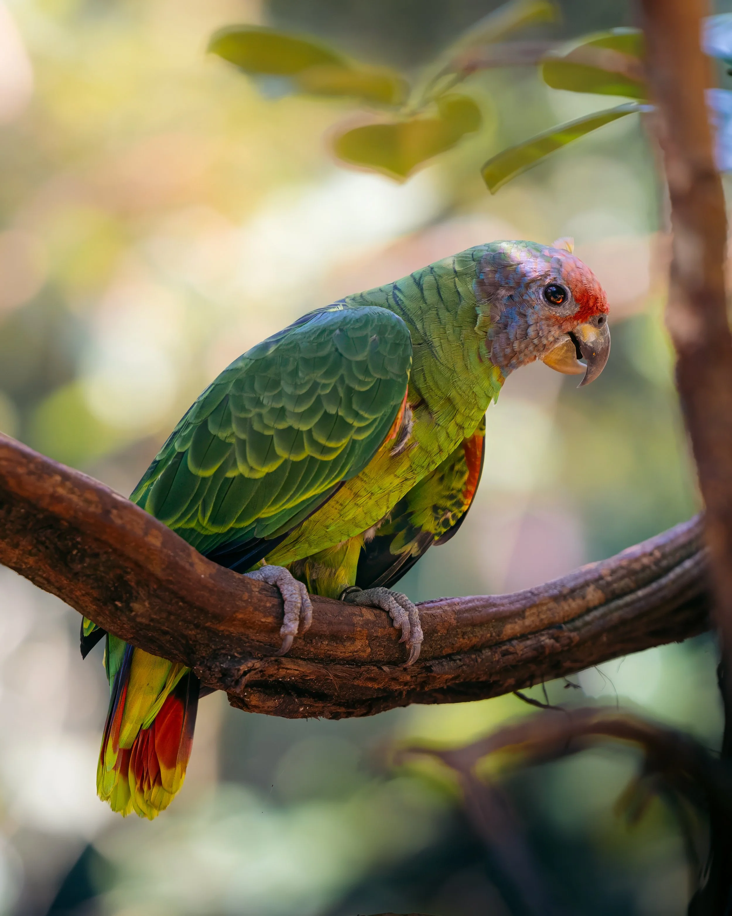 _58A5409-Edit.jpg