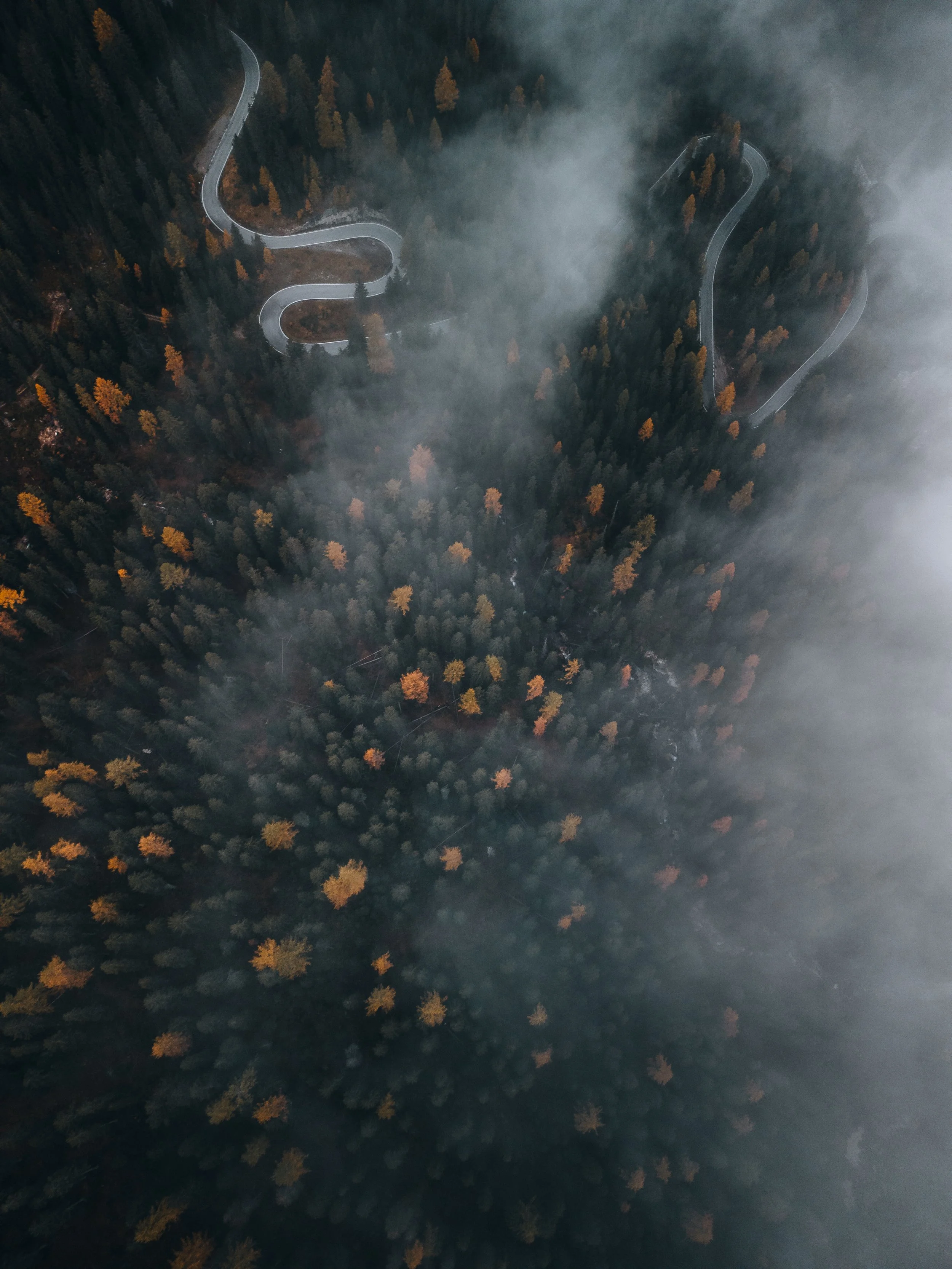 DJI_0638.jpg