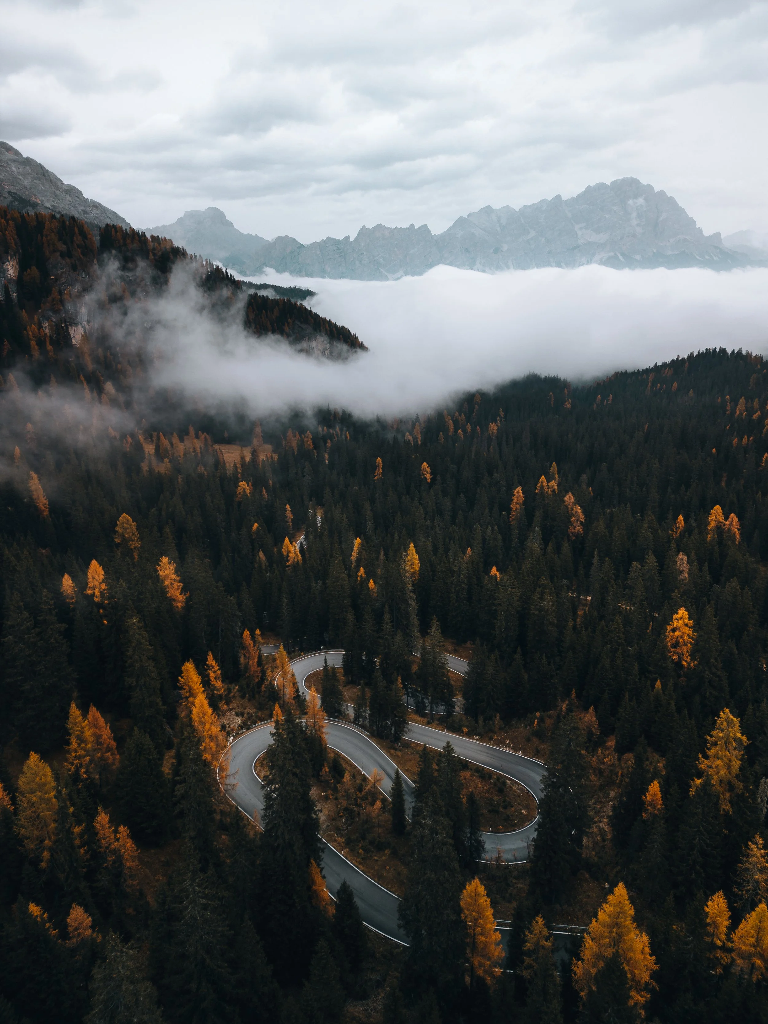 DJI_0675.jpg