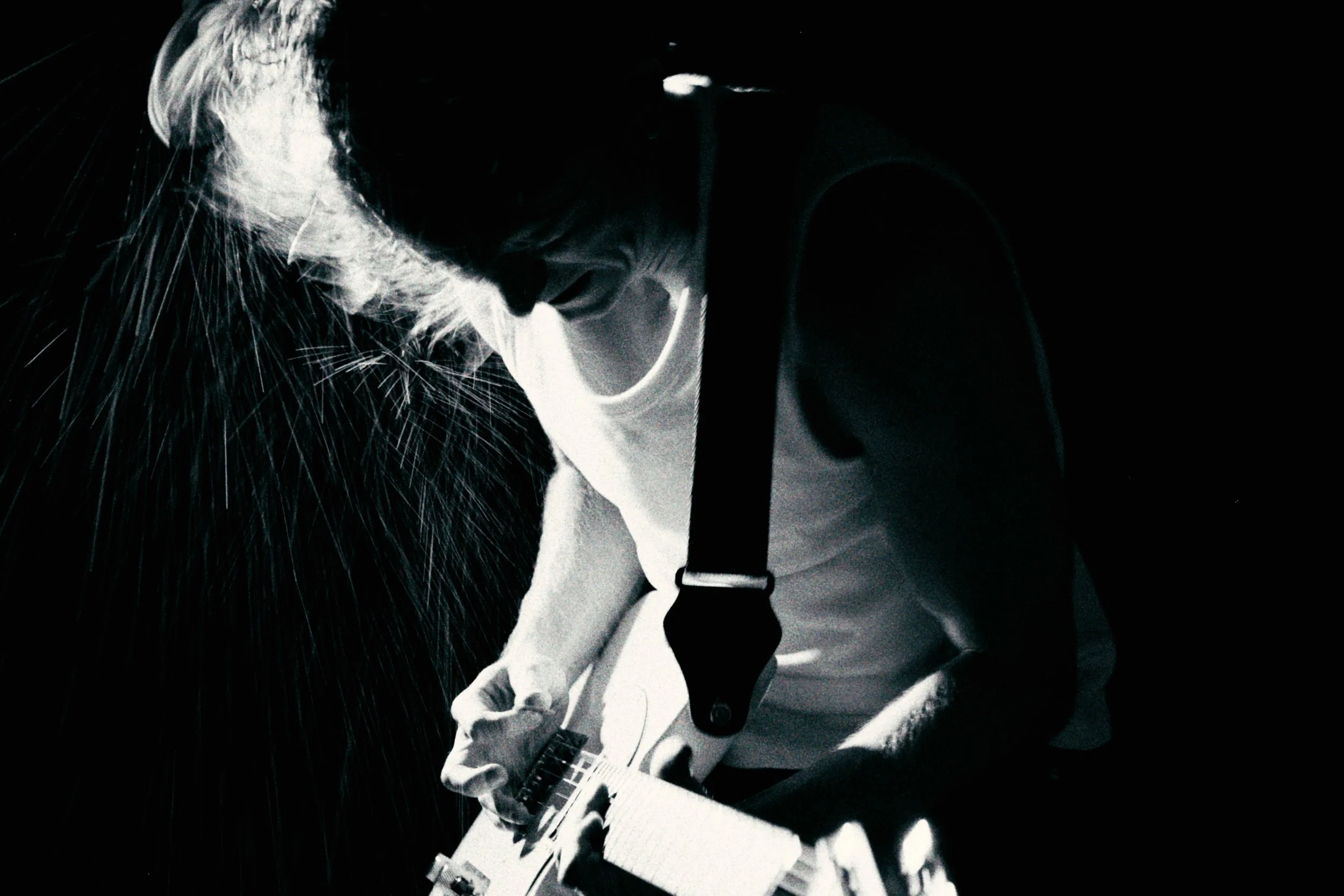 STILLS.jpg