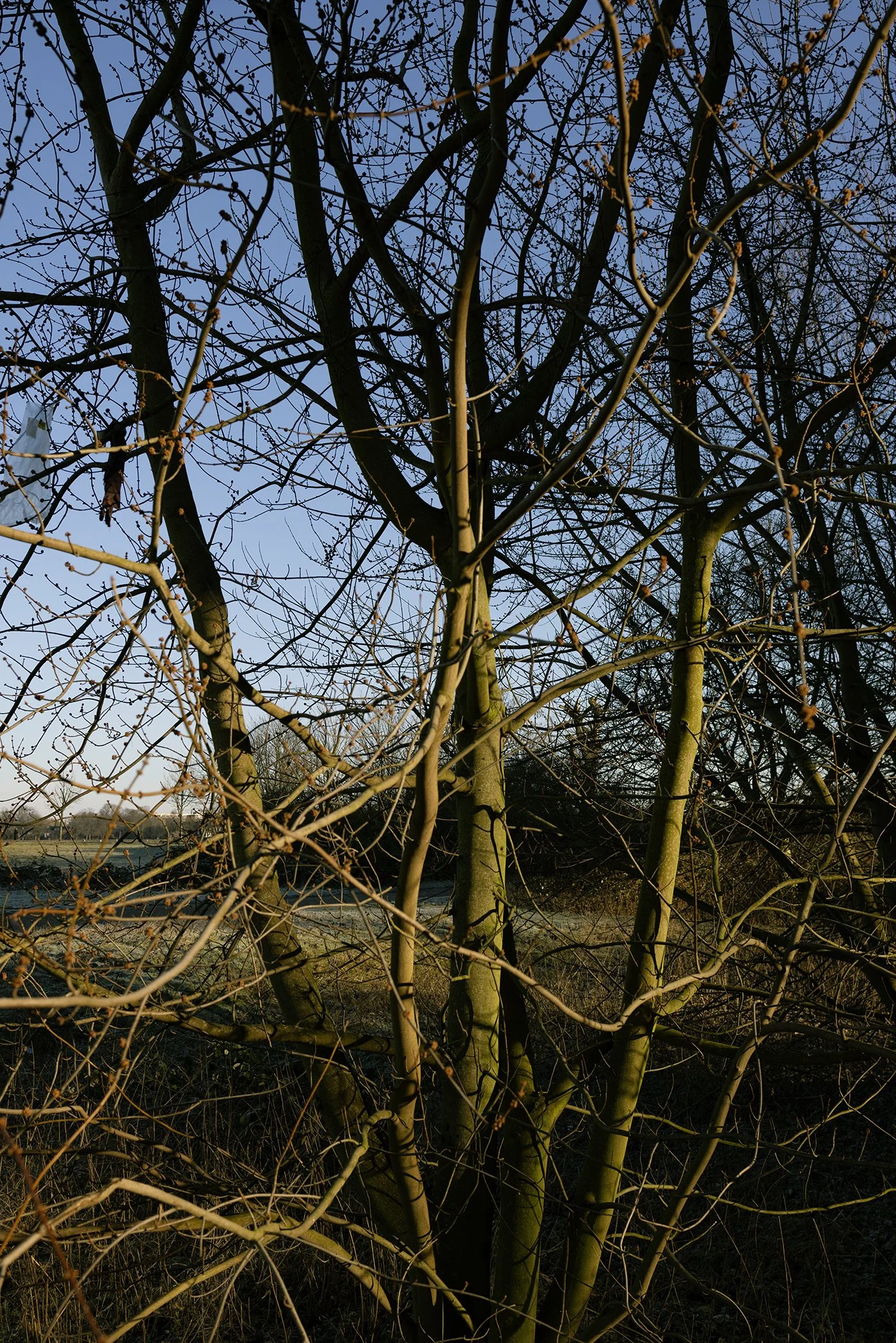 8X4A2628edit Kopie.jpg