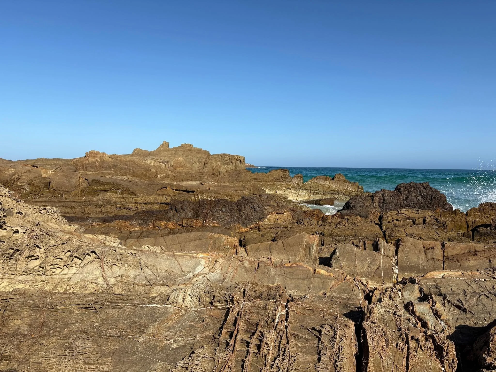 558857324_10101186485296184_1285673128567461652_n.jpg