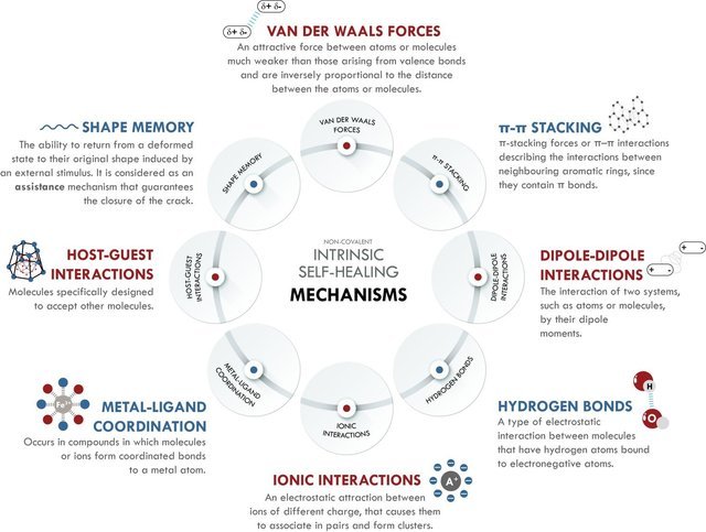 Non-covalent intrinsic self-healing mechanisms.