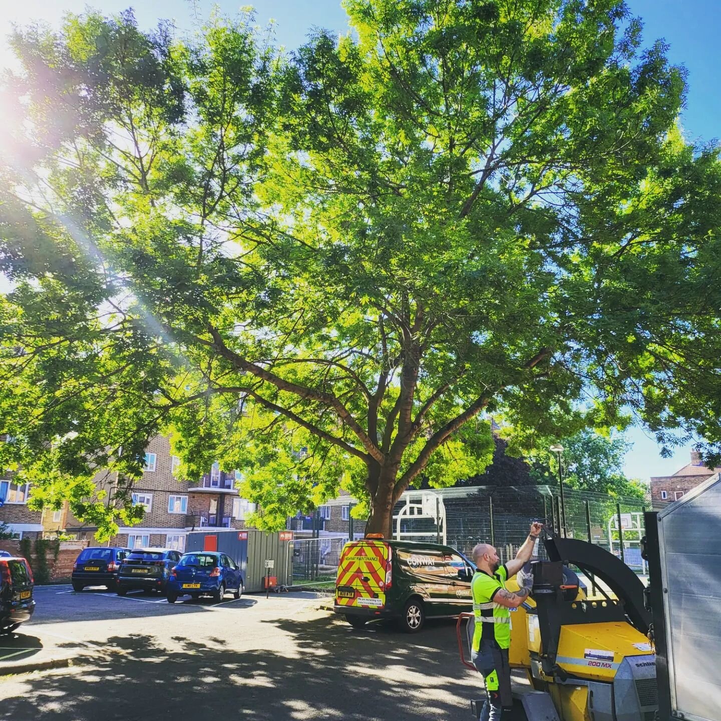 Lateral reduction/Blend on this big Ash. A real stretch for every cut ✂️ to keep it looking natural. All done and cleared by 10.30am 👌🤙A great start to the week with @joelnobleedwards @tombyfield91
#treesurgeon #sltsuk #arborist #arboristsofinstagr