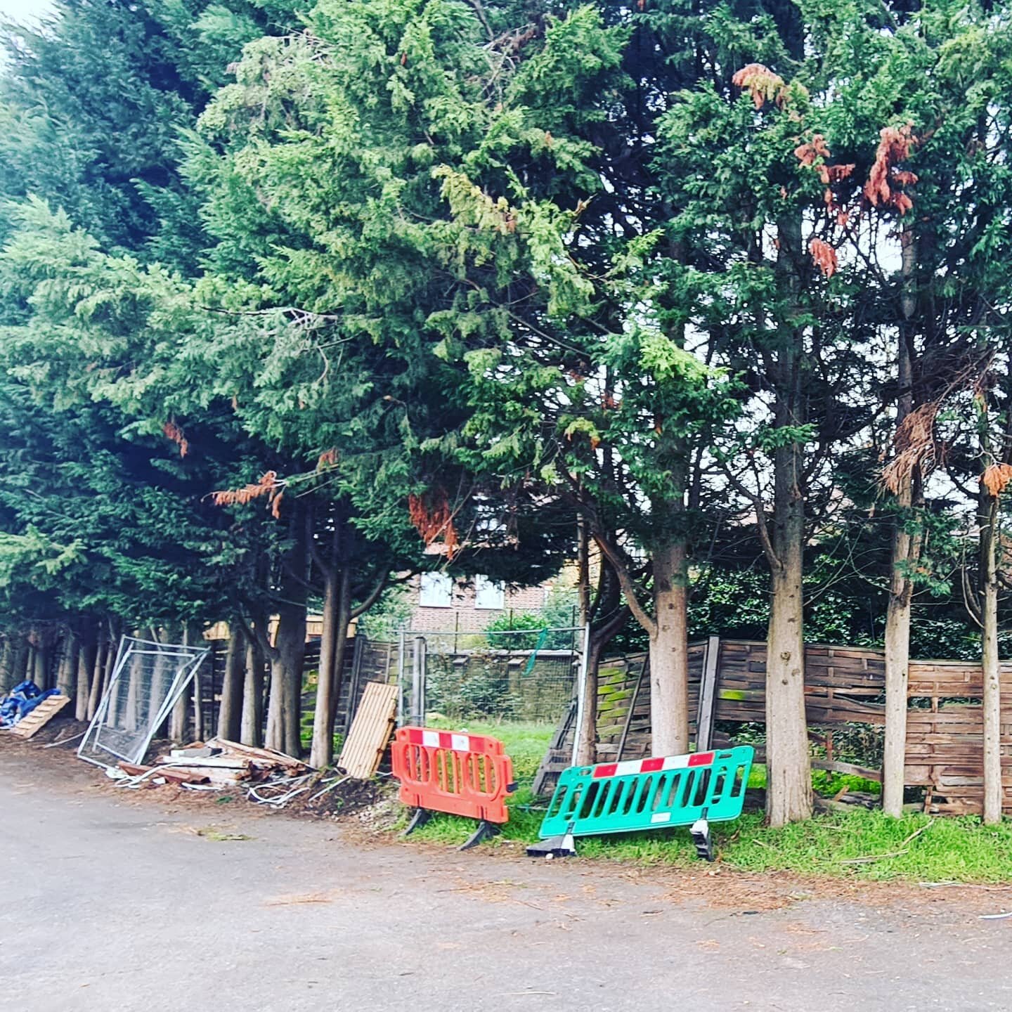 A few days in Streatham removing these Conifers. All stumps ground and fencing removed. Great result 👌
#treefelling
#streatham 
#southlondontreesurgeons #treesurgery #arborist #treesurgeon #treesurgeons #treeservices #treecare #surrey #southlondon #