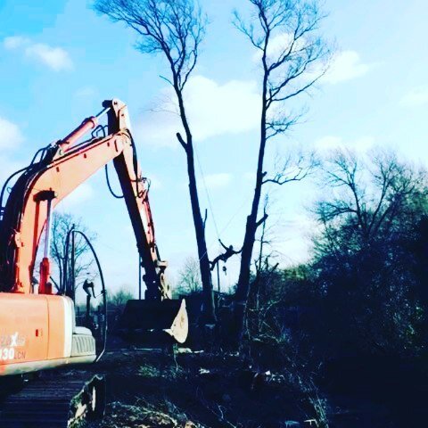 Big site clearance last week. Must've removed 30+ trees, only managed to get some photos of this monster Willow, a windy day and a few cables to dodge but no stress when theres a digger man on your side 👌👌
#siteclearance #bromley 
#southlondontrees