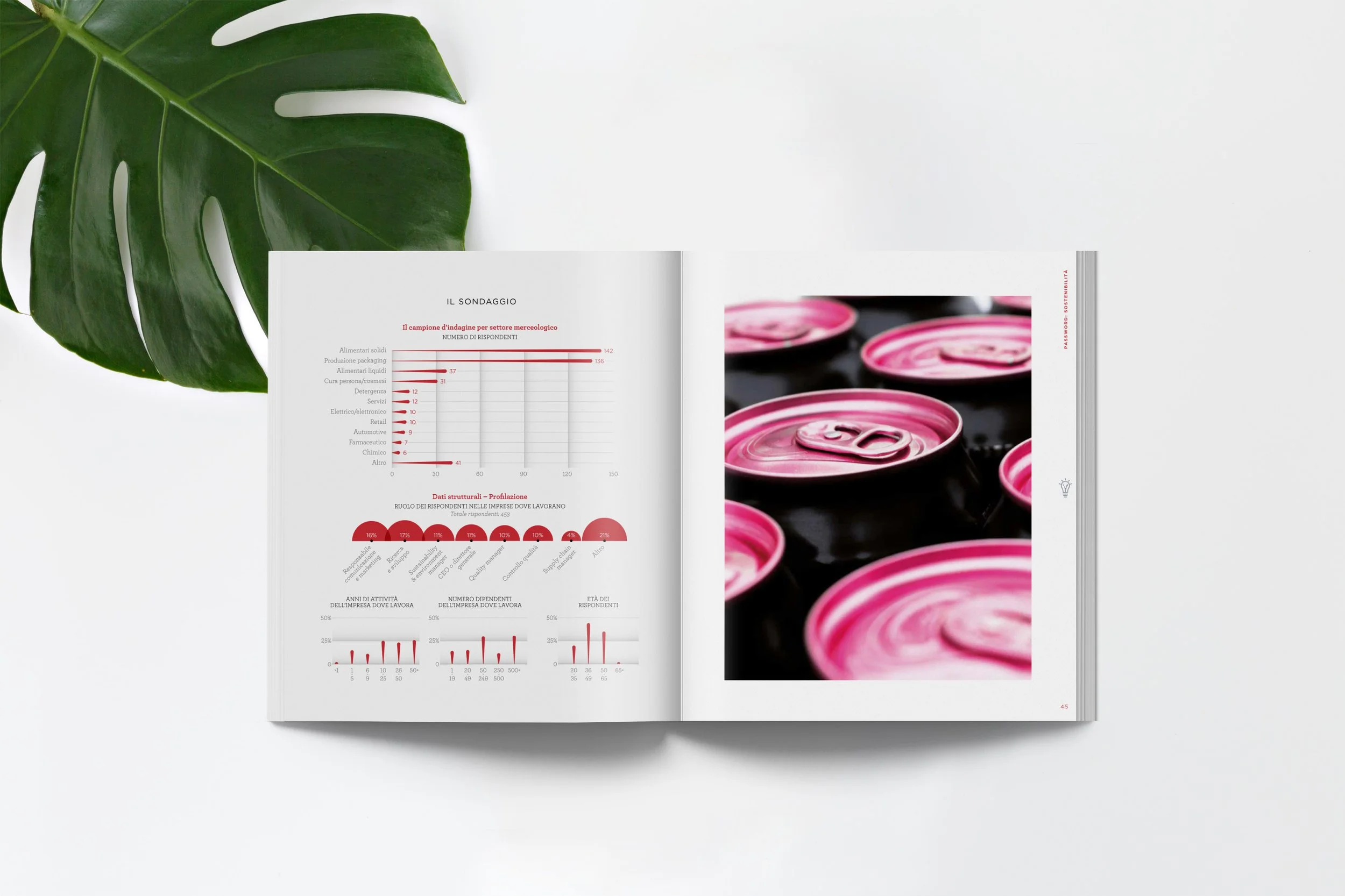 Mockup-conai-2.jpg