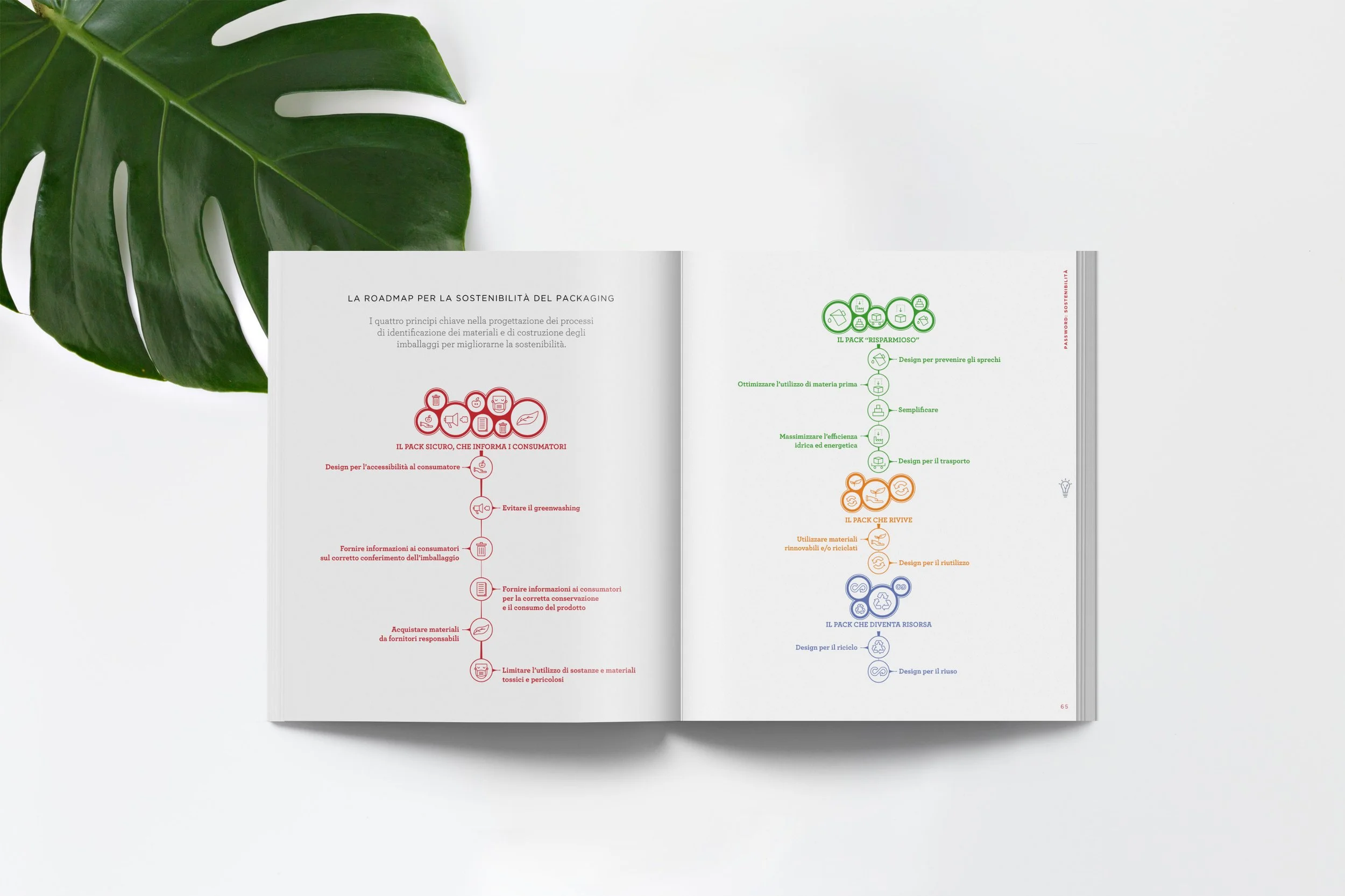 Mockup-conai-5.jpg