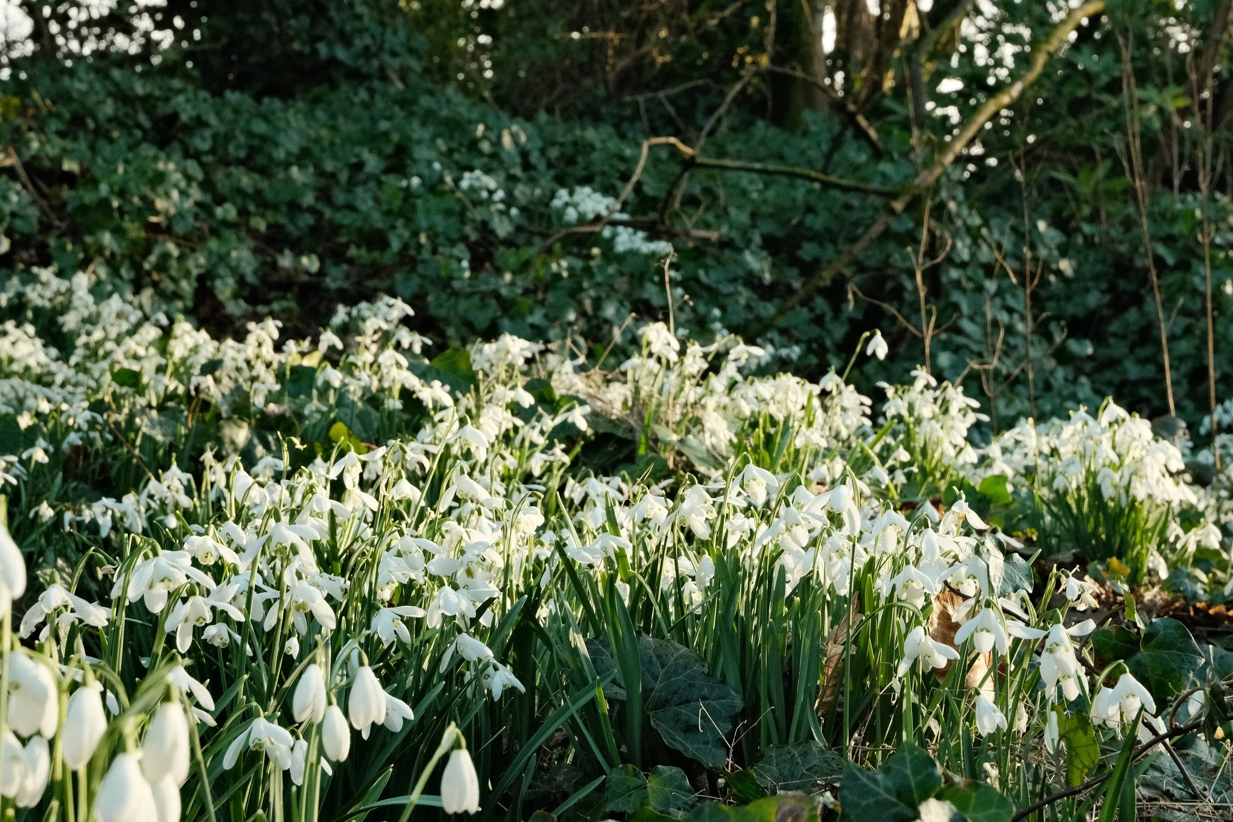 January’s Theme: Joyful Moments