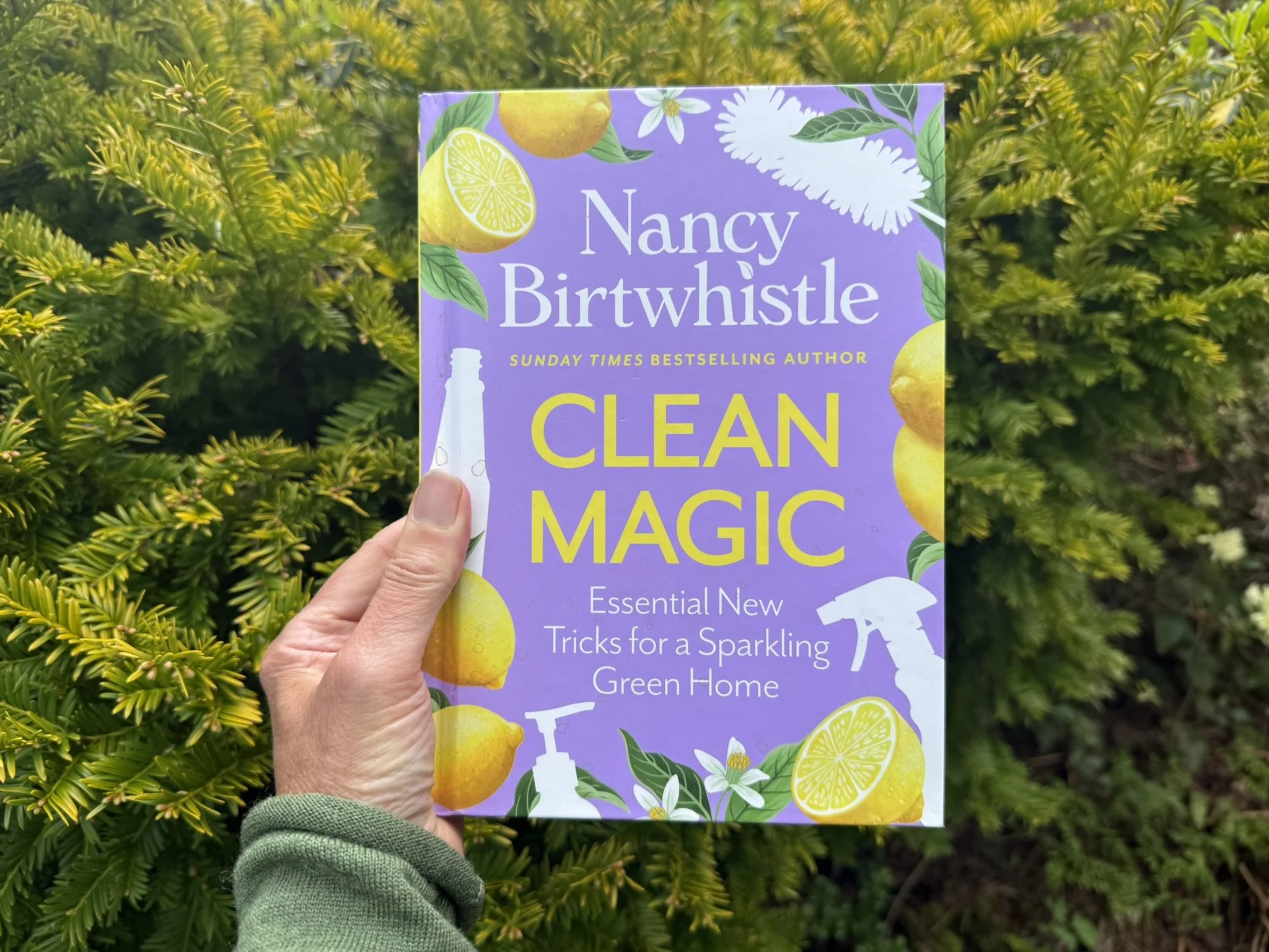 Natural Cleaning Solutions