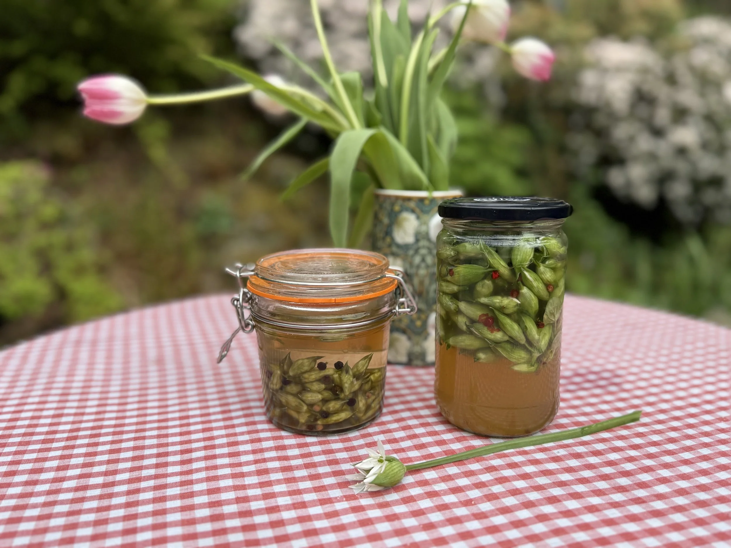 Pickled and Fermented Wild Garlic Flower Buds