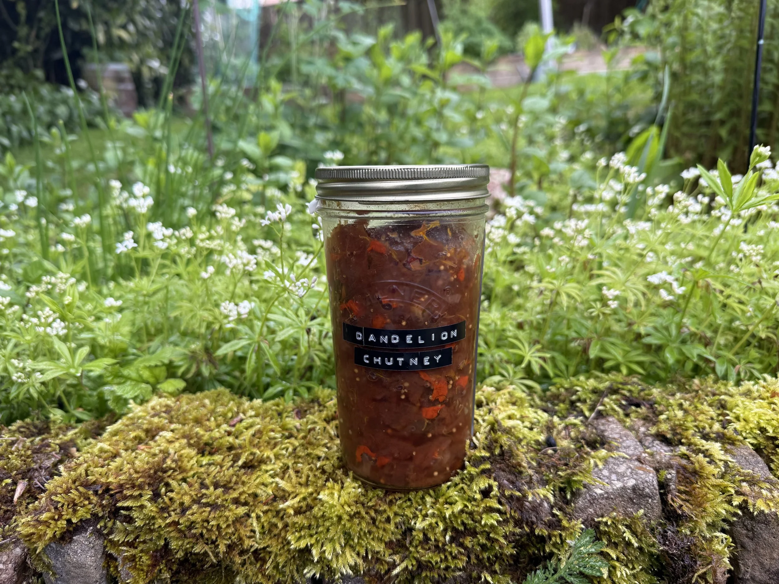 Dandelion Chutney