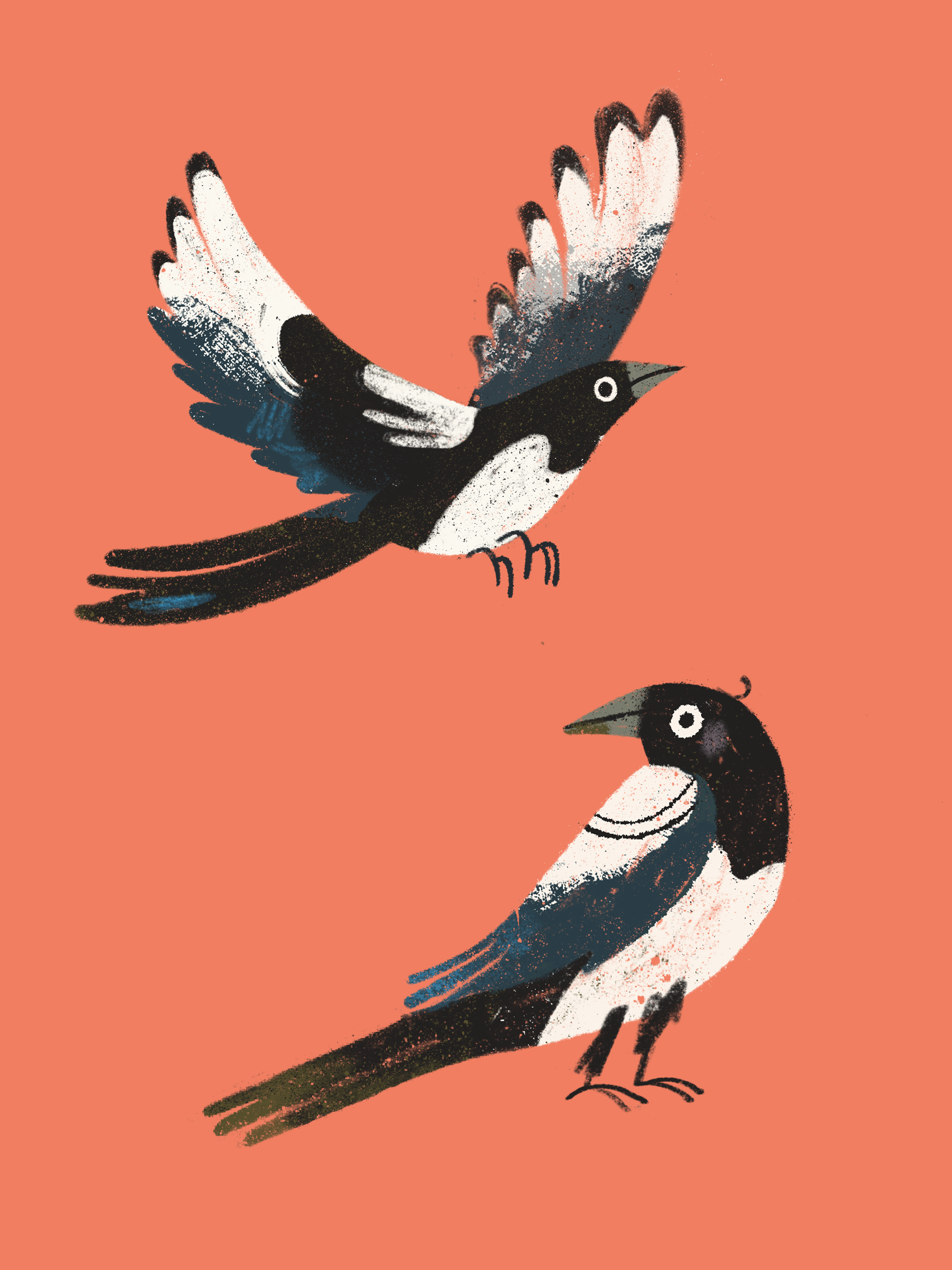 magpies.png