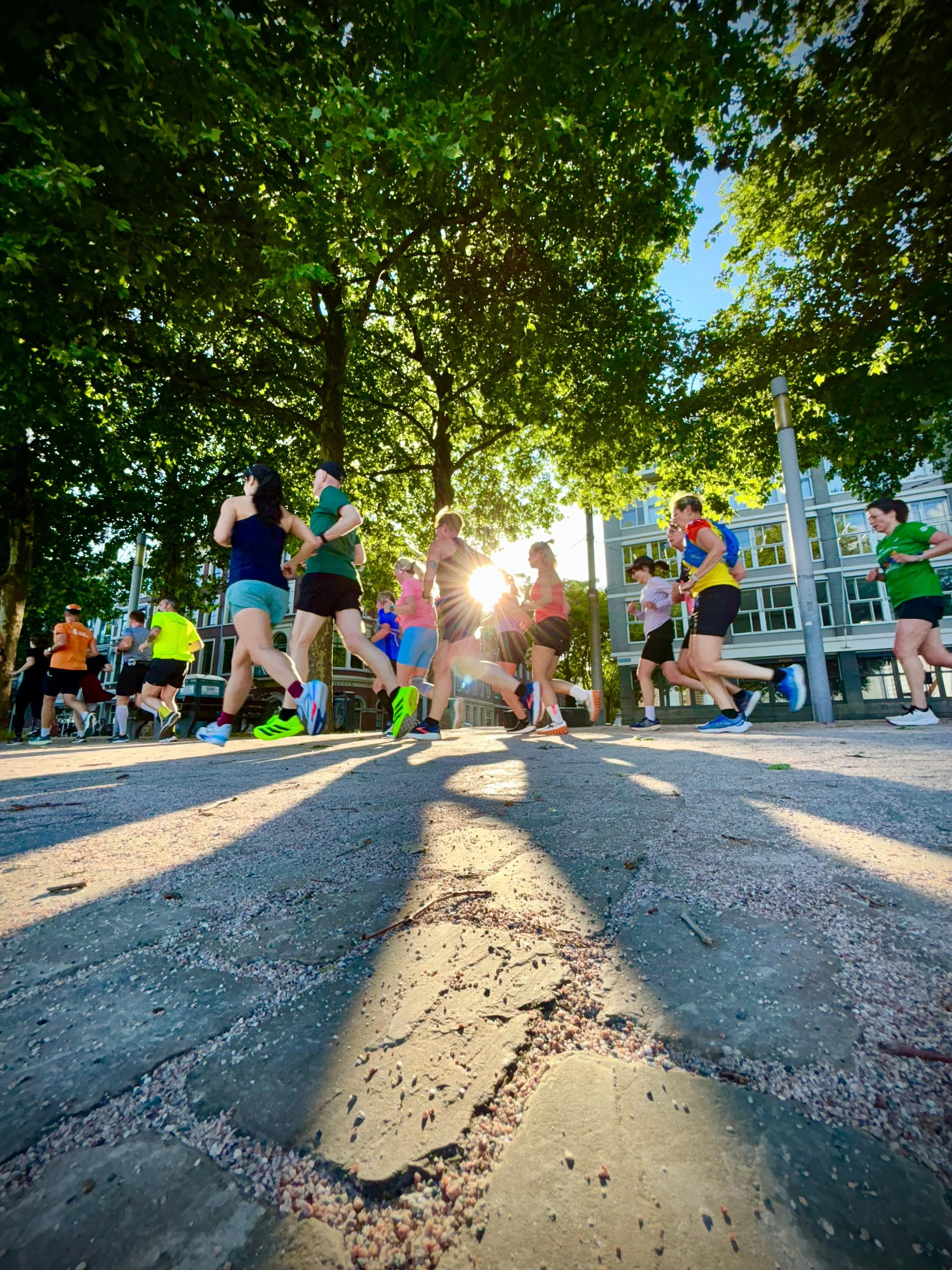 WhatsApp Image 2025-06-02 at 20.07.20.jpeg