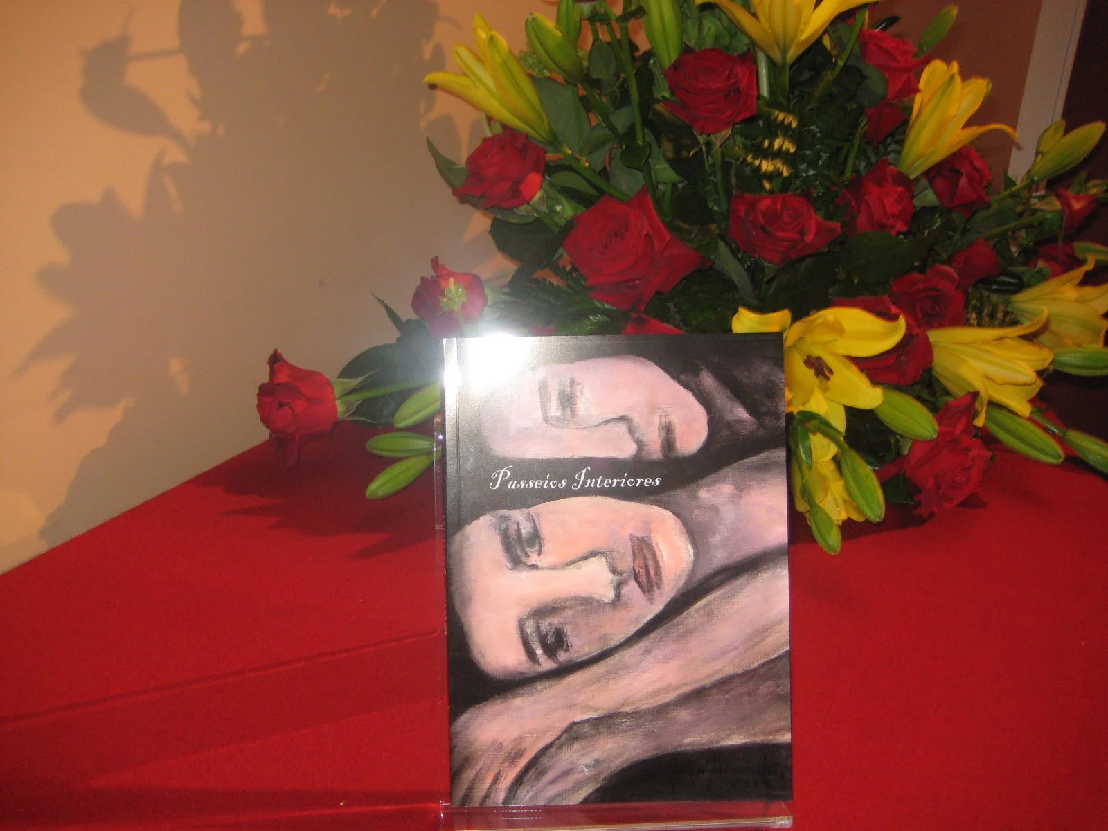 LivroPasseiosInterioresJúliaFernandes11.JPG