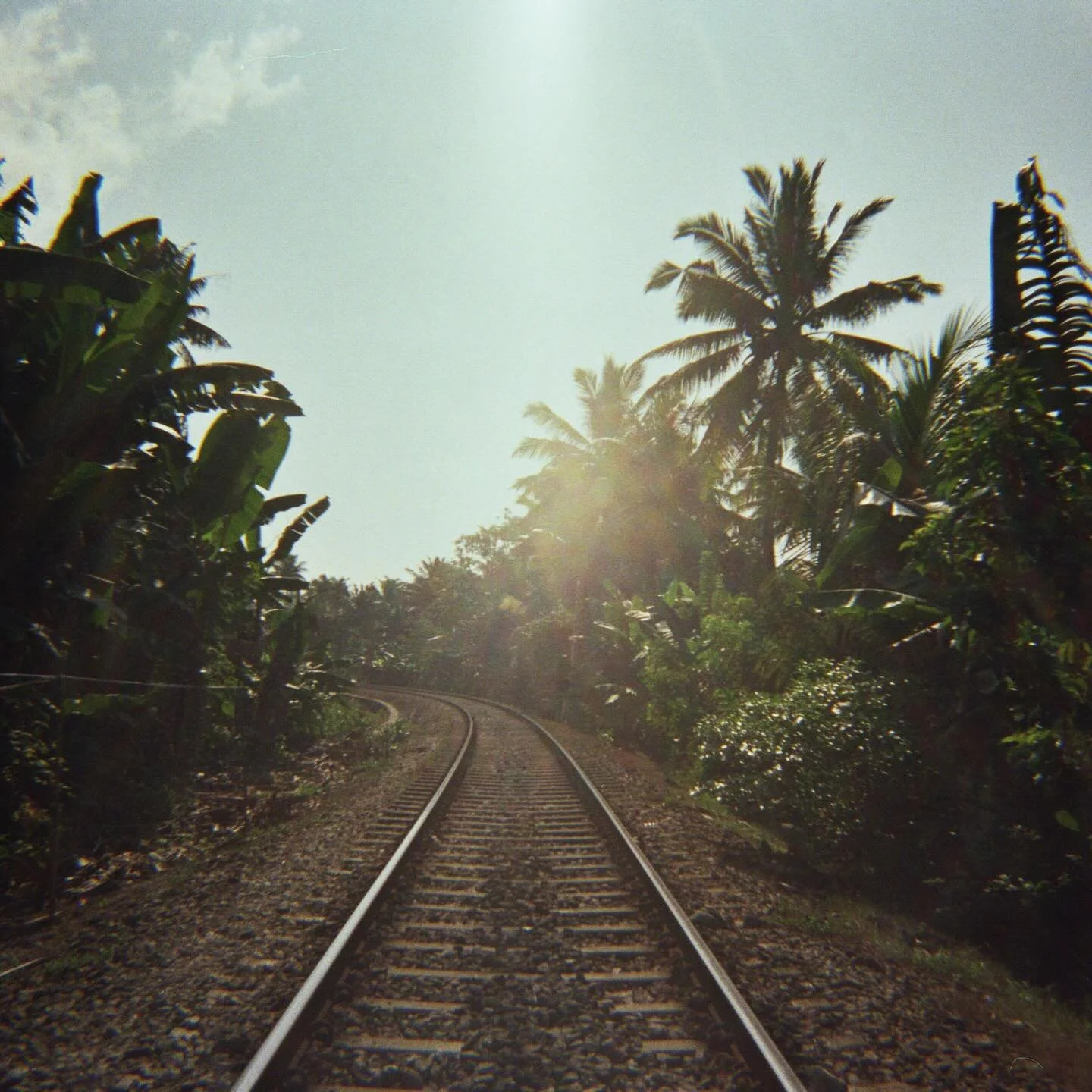 between tuktuks and surfboards 🌴🏄&zwj;♀️🇱🇰

how lucky am I to surf amongst sea turtles in warm clear waters?
how lucky am I to meet so many beautiful and kind people, from the most caring locals to inspiring fellow travelers?
how lucky am I to fa