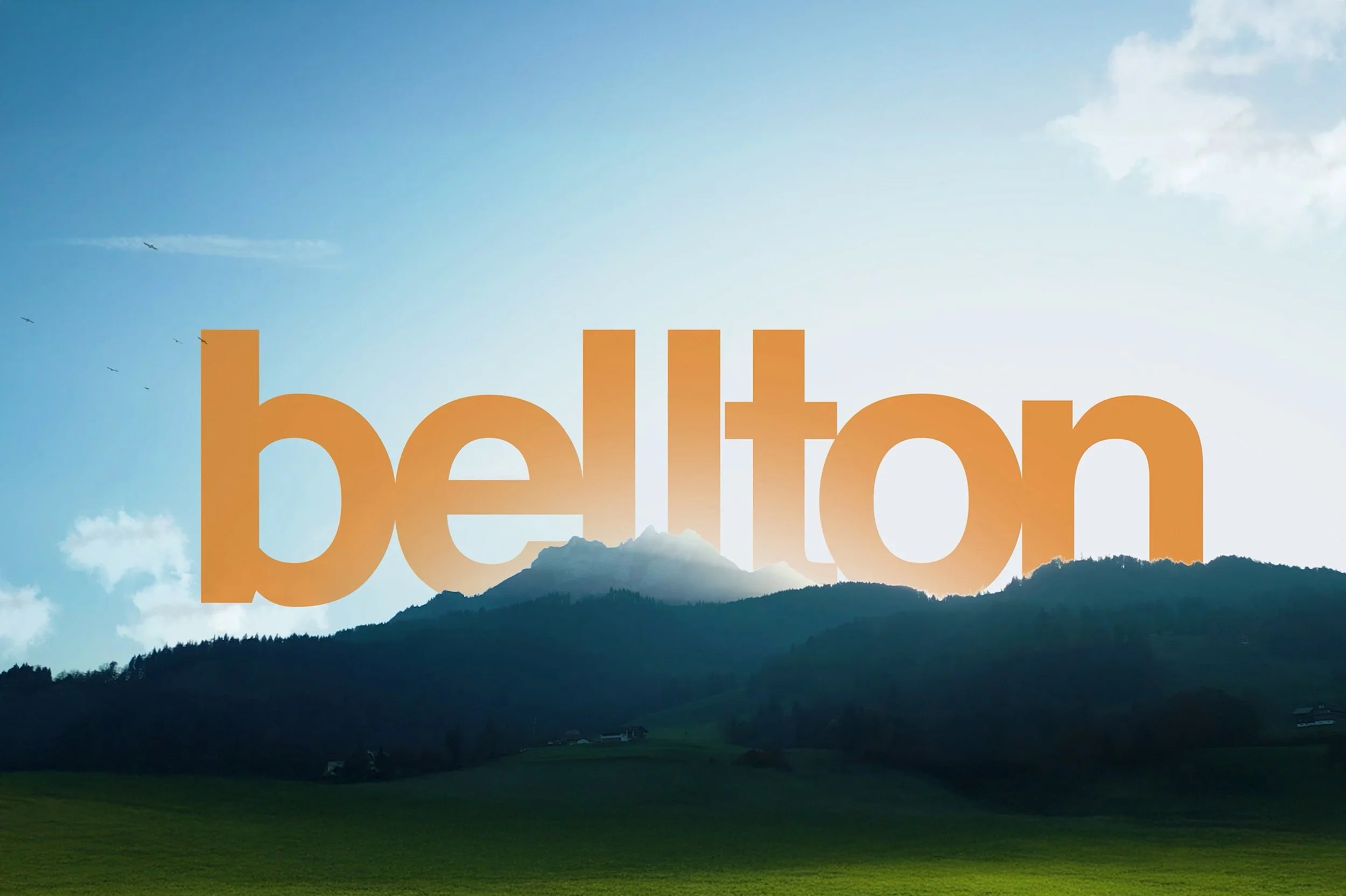 Bellton | Showroon