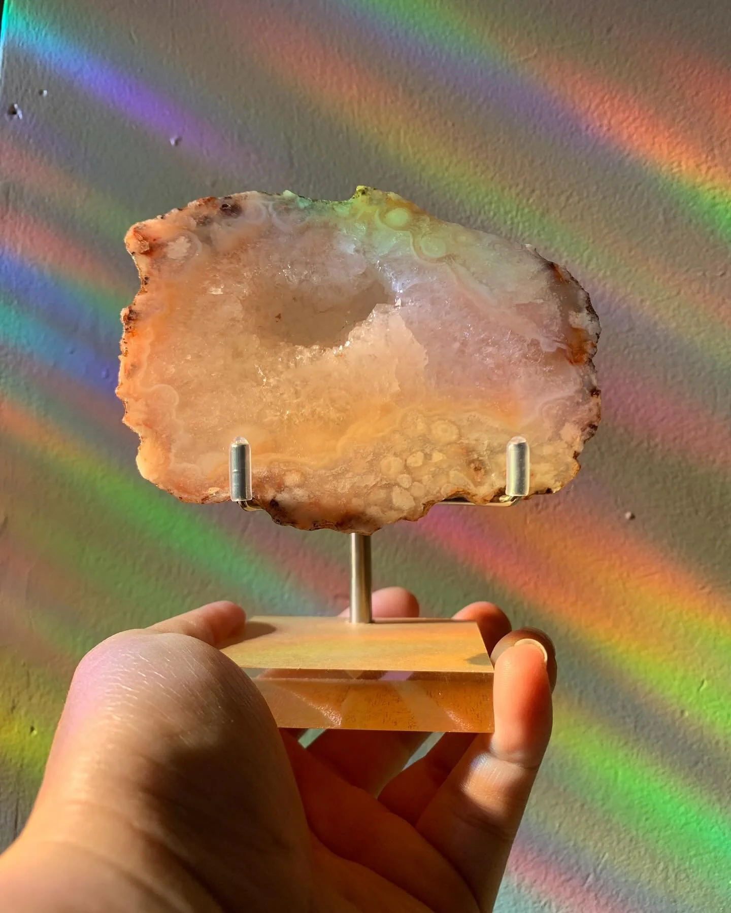 Carnelian X Flower Agate druzy slab 🌹 

What dreams are made of 💭!

$59 includes stand

www.revivalcrystals.com FOR MORE

#druzy #agate #carnelian #floweragate #crystals #crystalhealing #stunning #chakras #calming #anxiety #decor #crystaldecor #sma