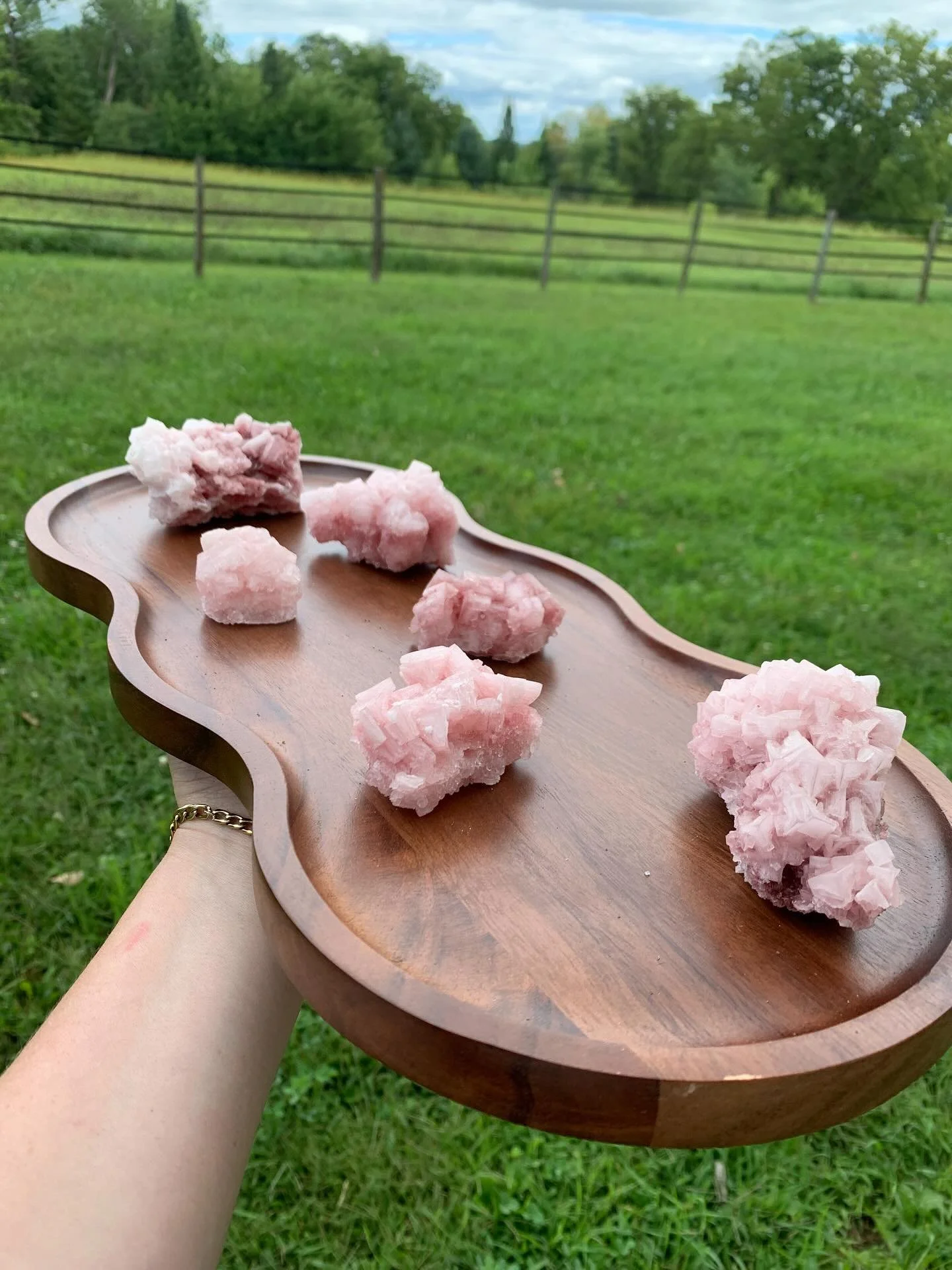 𝒞𝒶𝓁𝓁𝒾𝓃𝑔 𝒶𝓁𝓁 𝒫𝒾𝓃𝓀 𝐻𝒶𝓁𝒾𝓉𝑒 𝓁𝑜𝓋𝑒𝓇𝓈 ✨ 

From Searles Lake in San Bernardino, California

5 sparkly Pink/ Magenta specimens.

*Small odor from lake is noticeable. I would suggest airing out or placing into a display box if it both